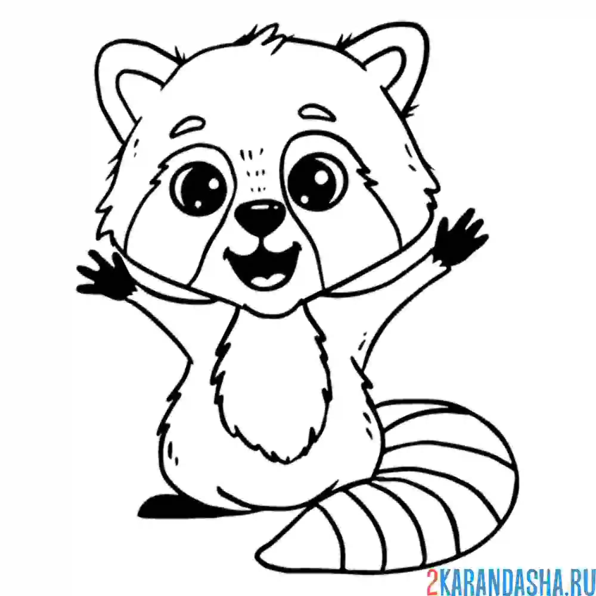 Раскраска енот приветствие