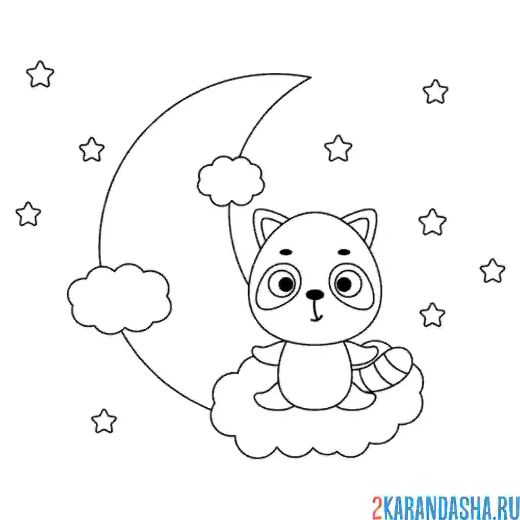 Раскраска енот с луной