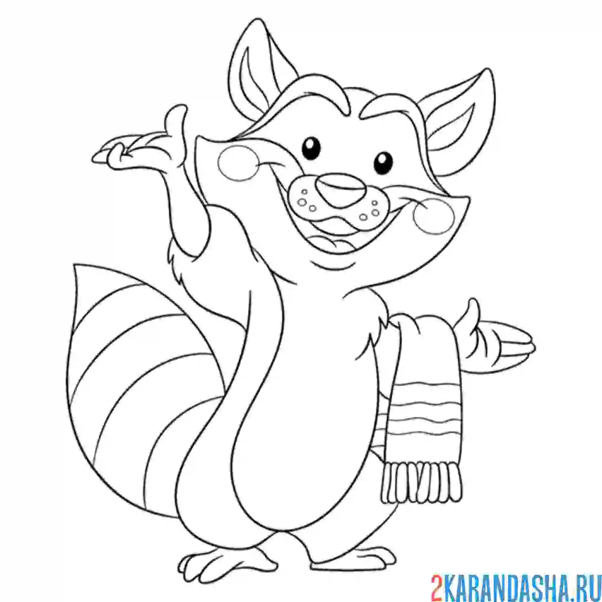 Раскраска енот и полотенце