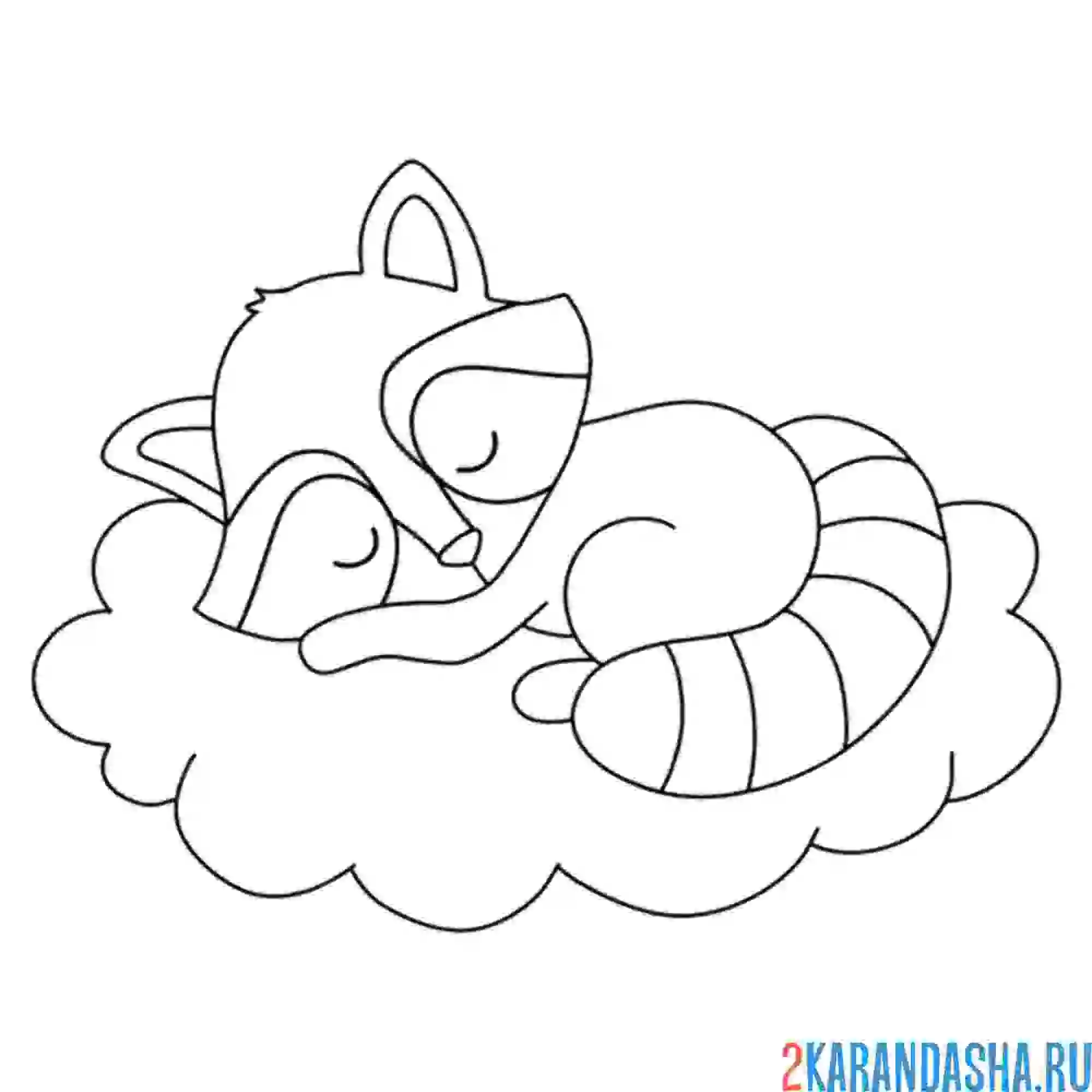 Раскраска енотик спит