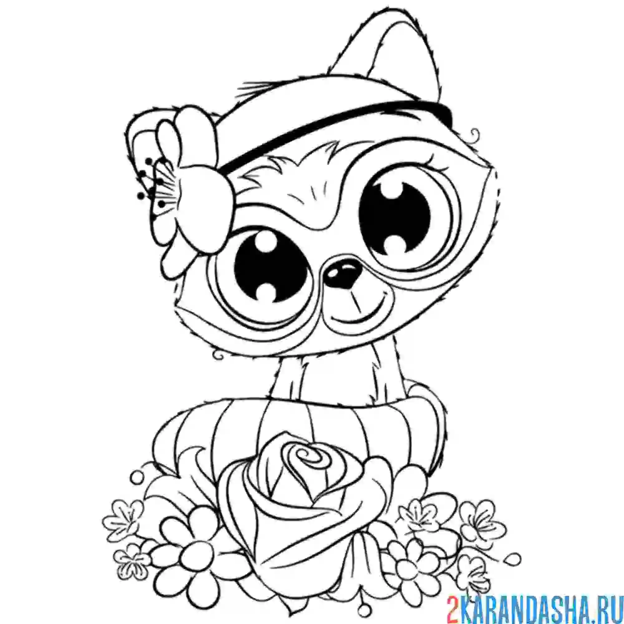 Раскраска милый енот девочка