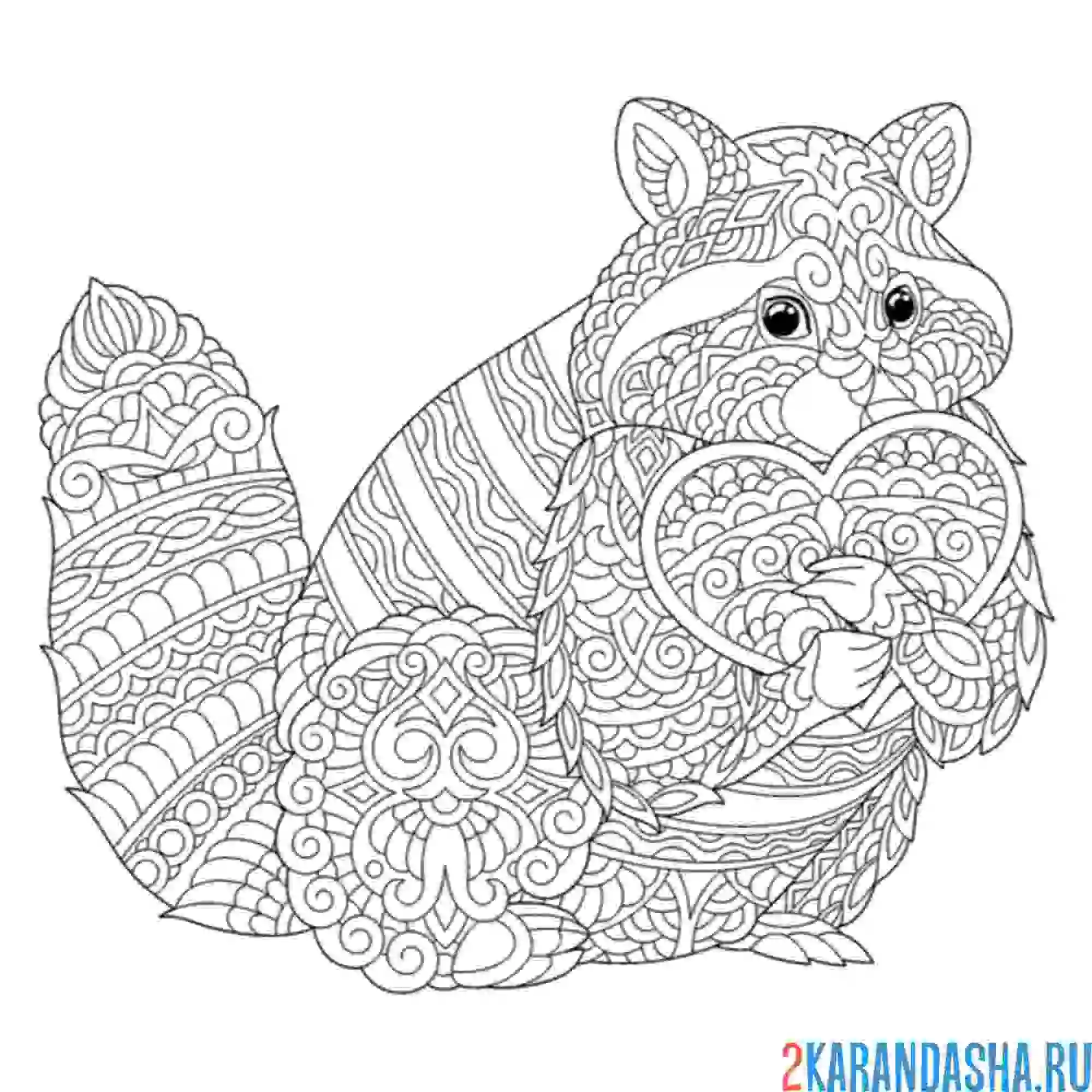 Раскраска антистресс-енот