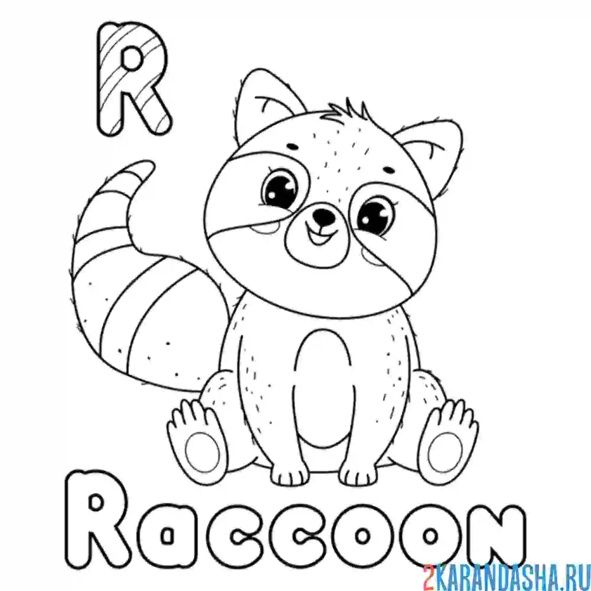 Раскраска енот raccoon