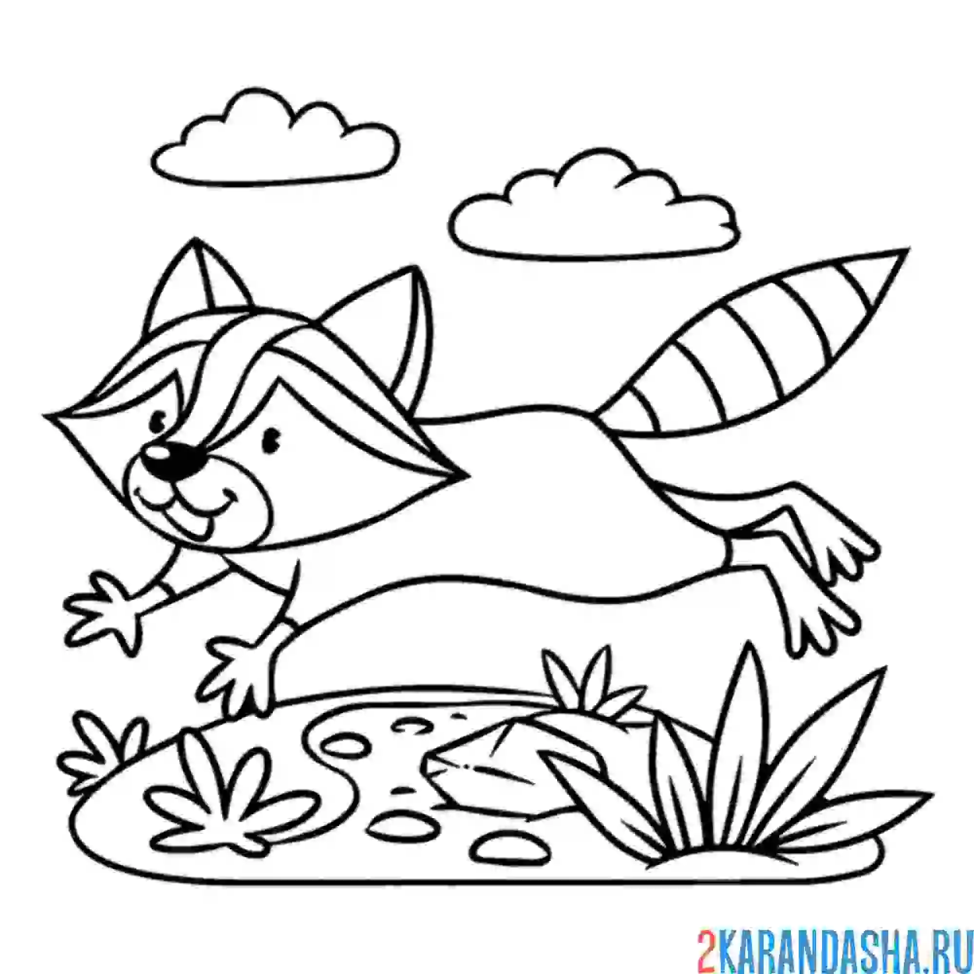 Раскраска енот убегает