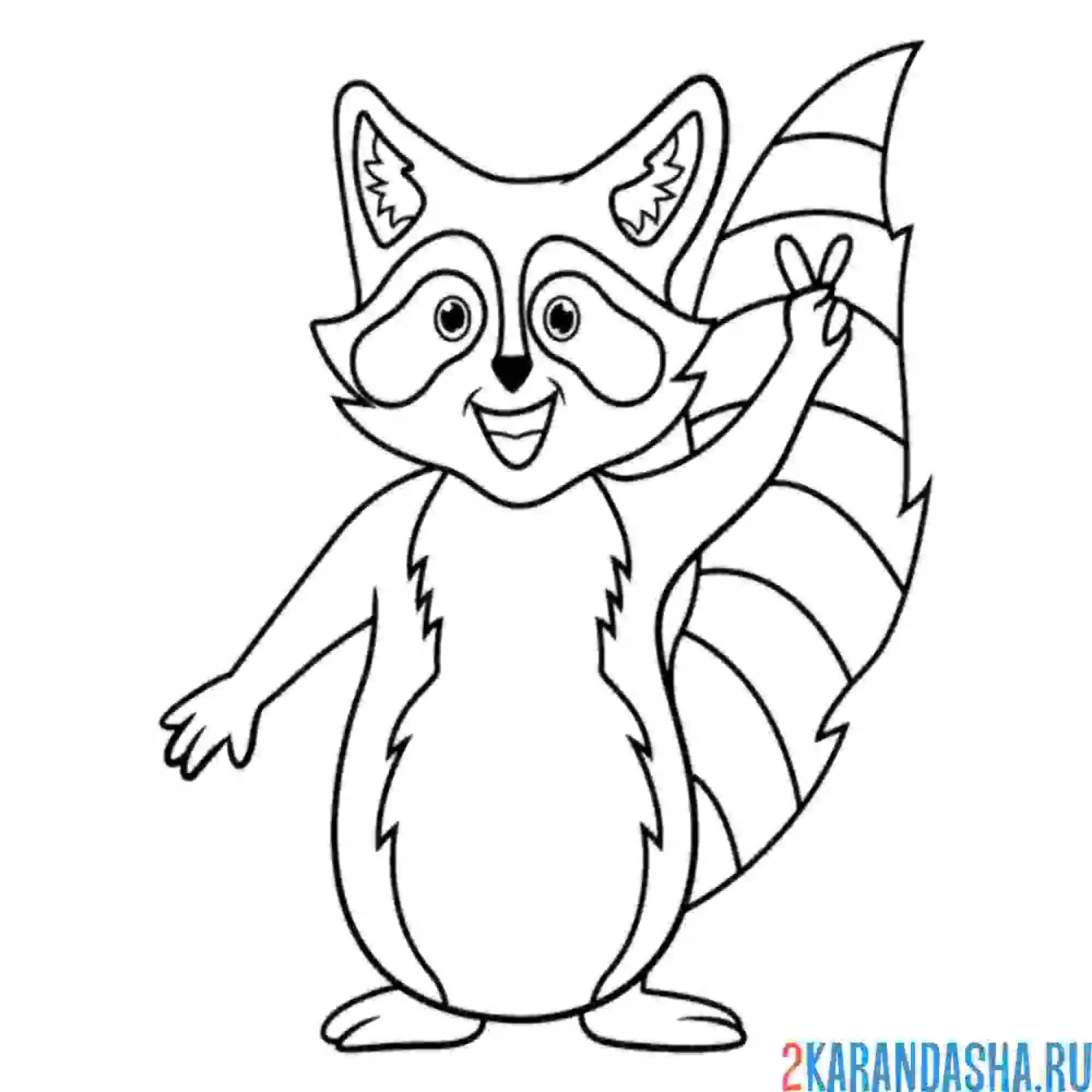 Раскраска привет от енота