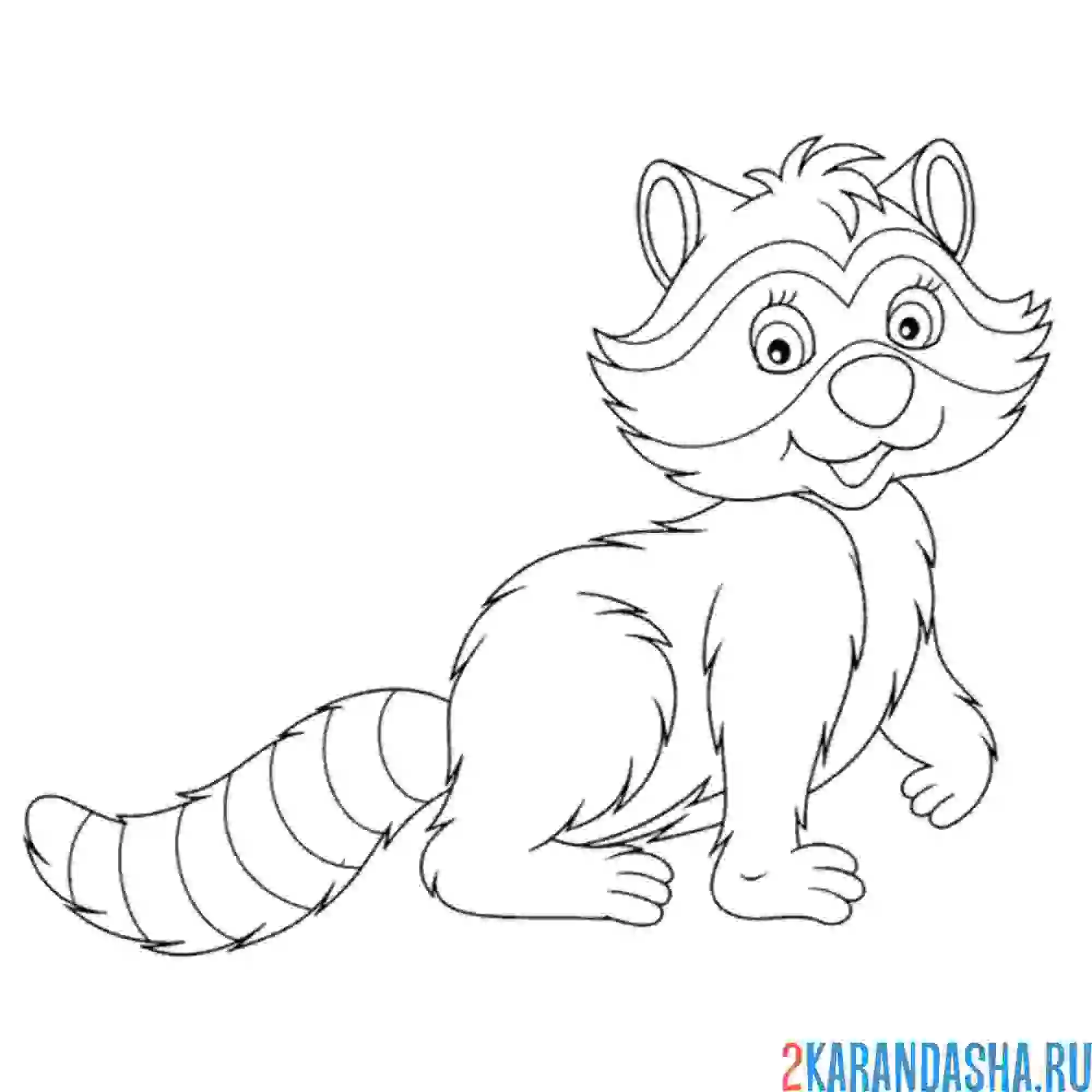 Раскраска енот во весь рост