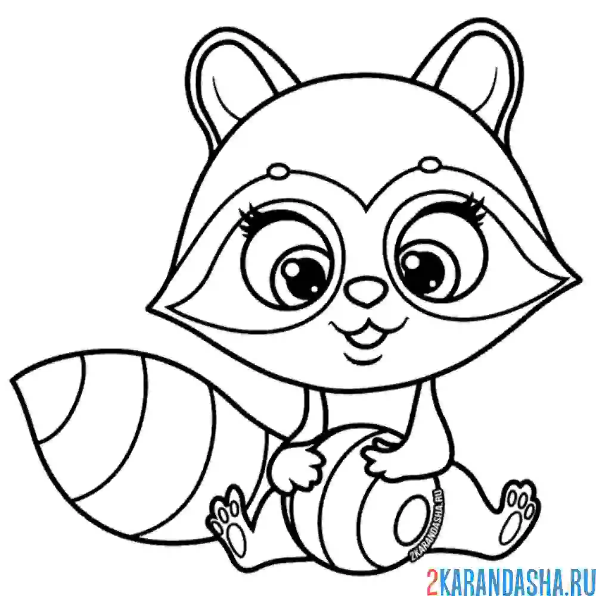 Раскраска енот милашка детеныщ