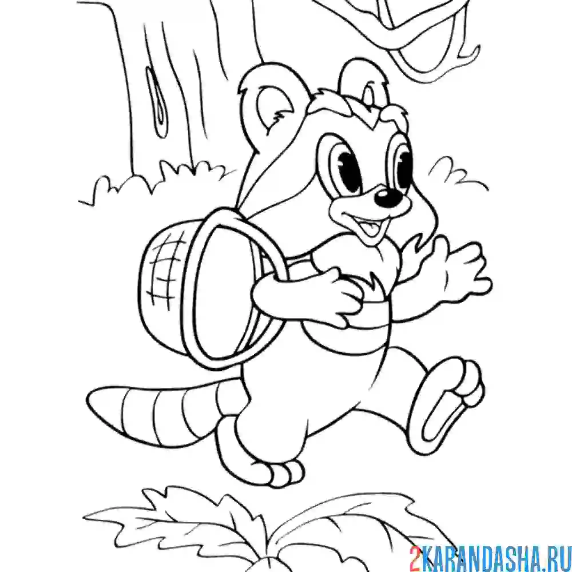 Раскраска крошка енот