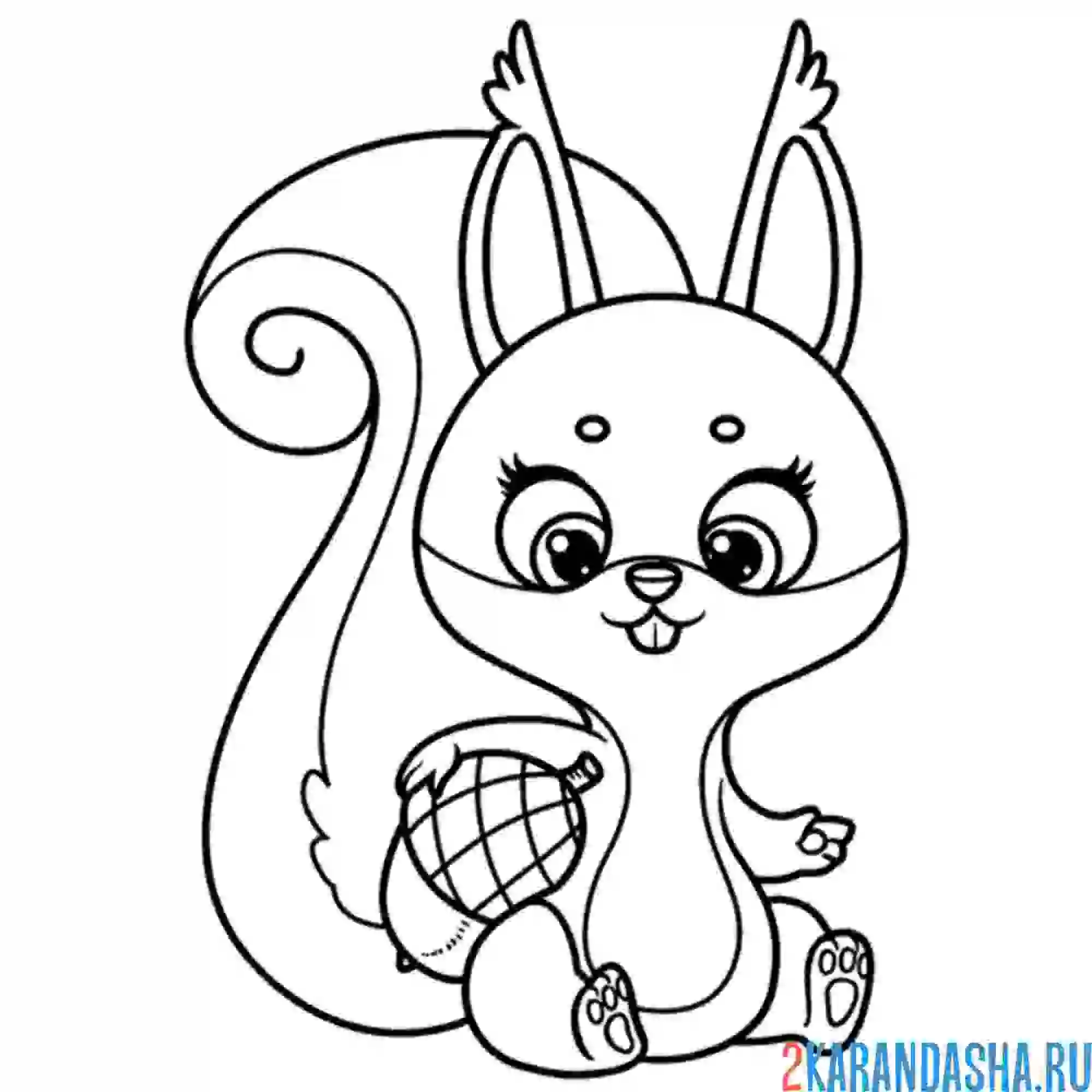 Раскраска белочка с шишкой