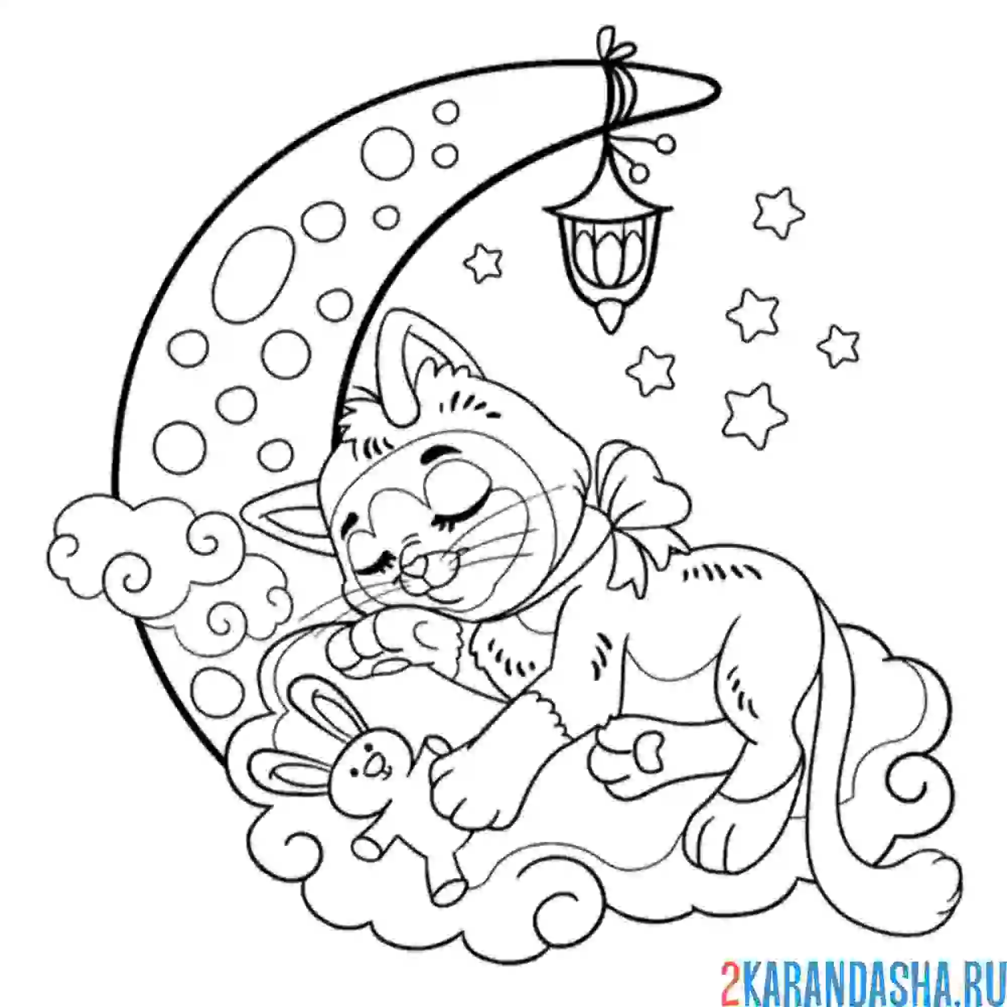 Раскраска котик спит на луне