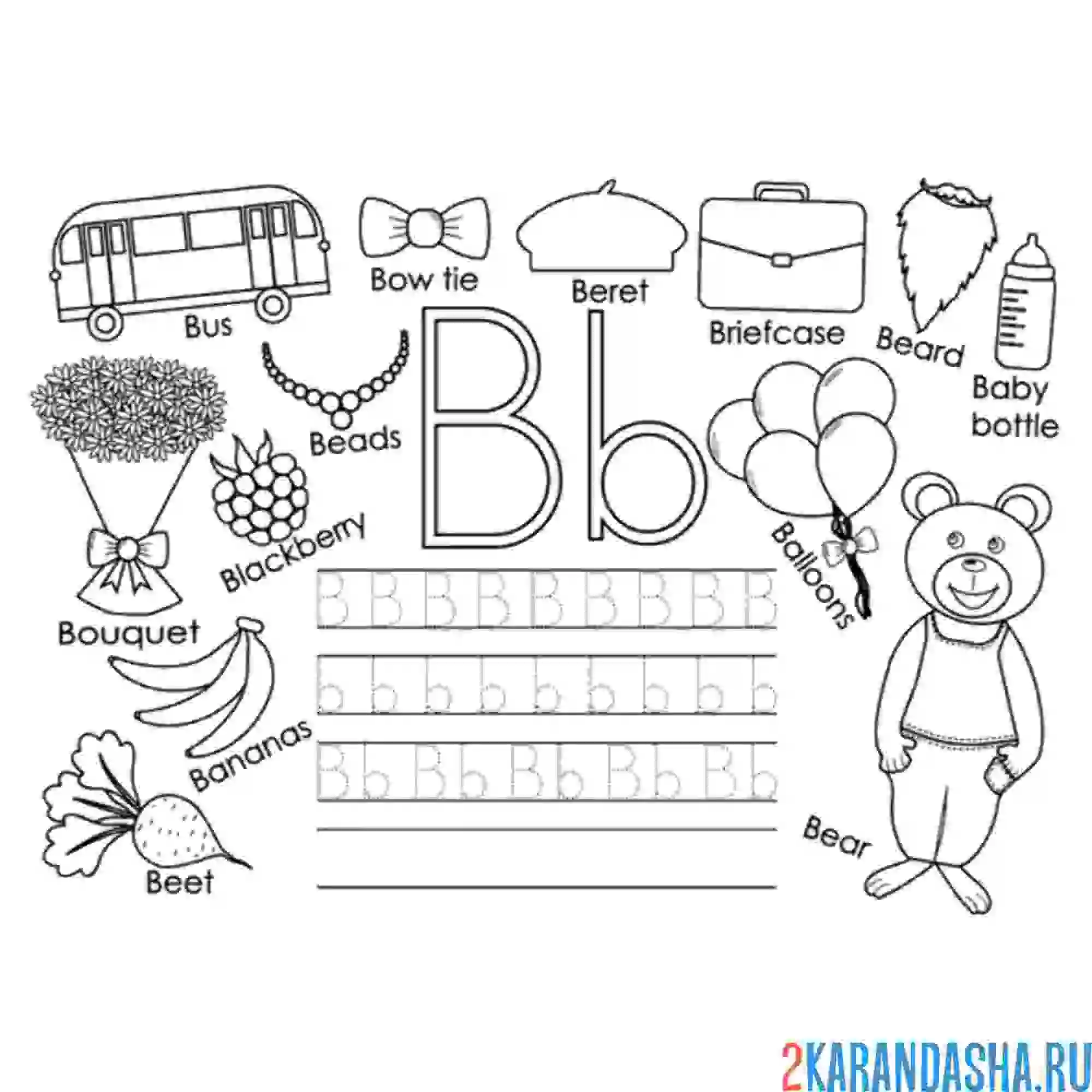 Раскраска английские прописи буква b