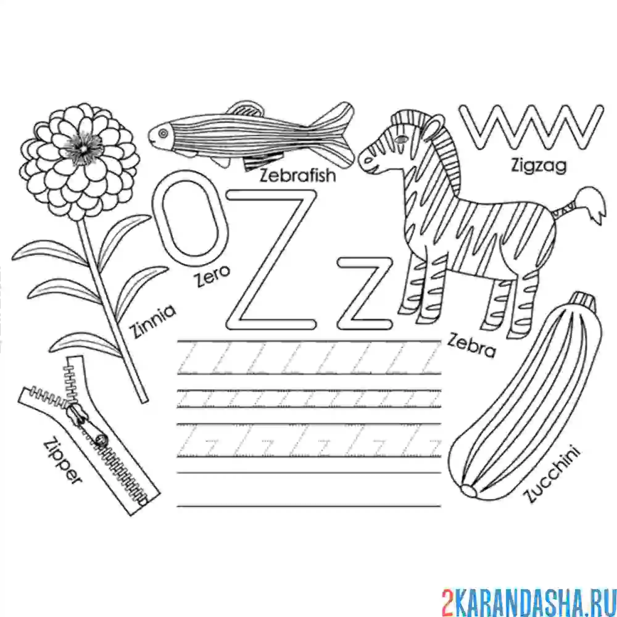 Раскраска английские прописи буква z