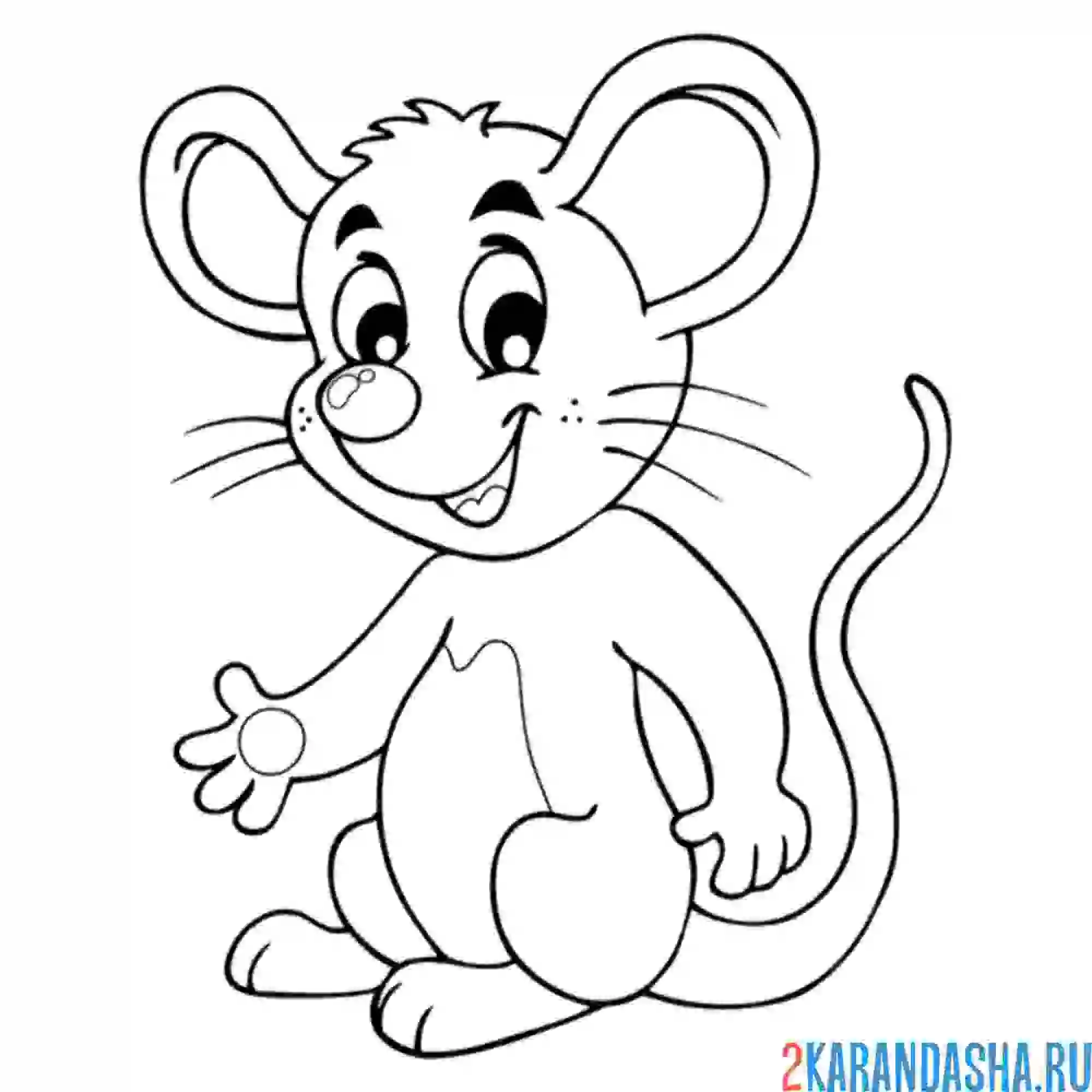 Раскраска красивая мышь