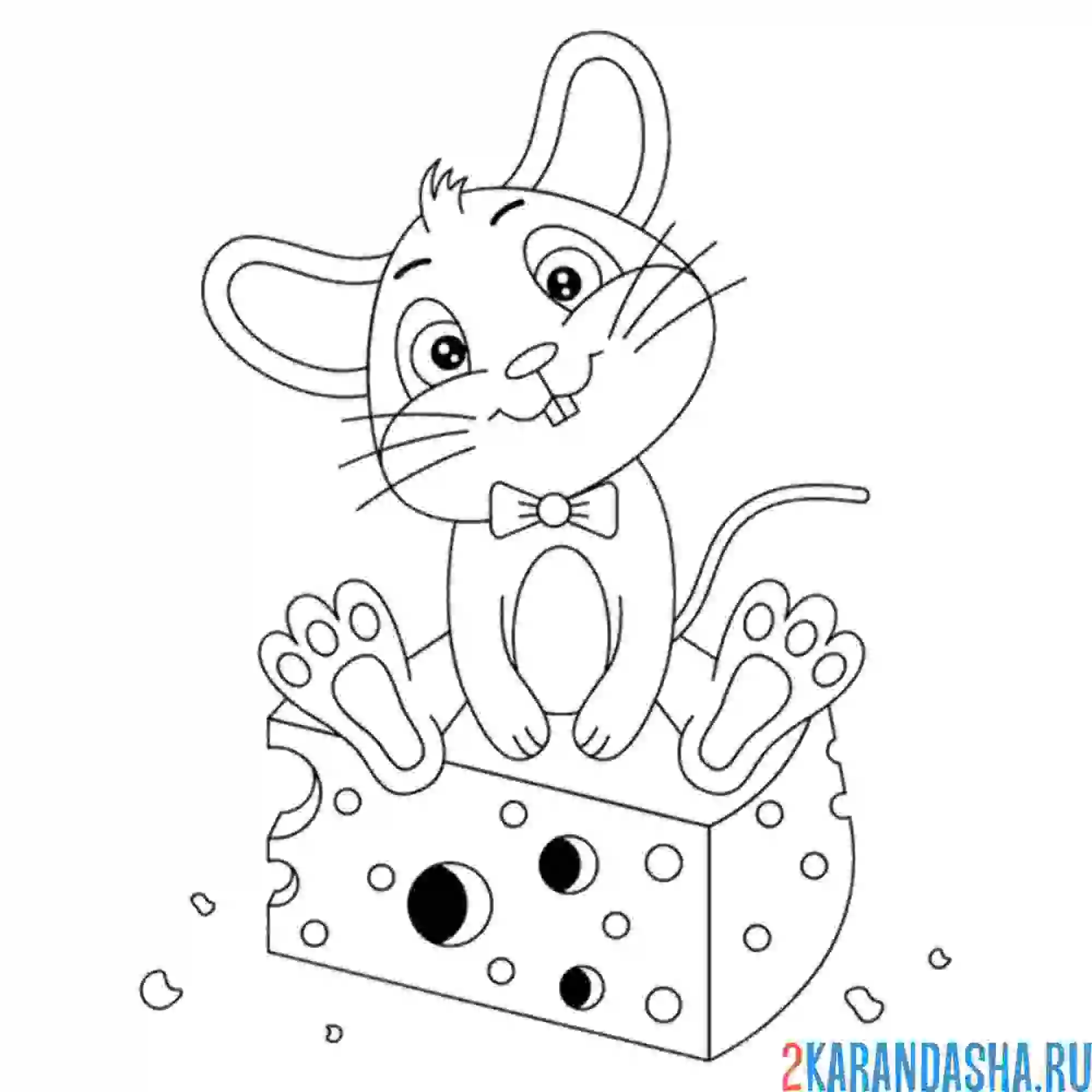 Раскраска мышка сидит на сыре