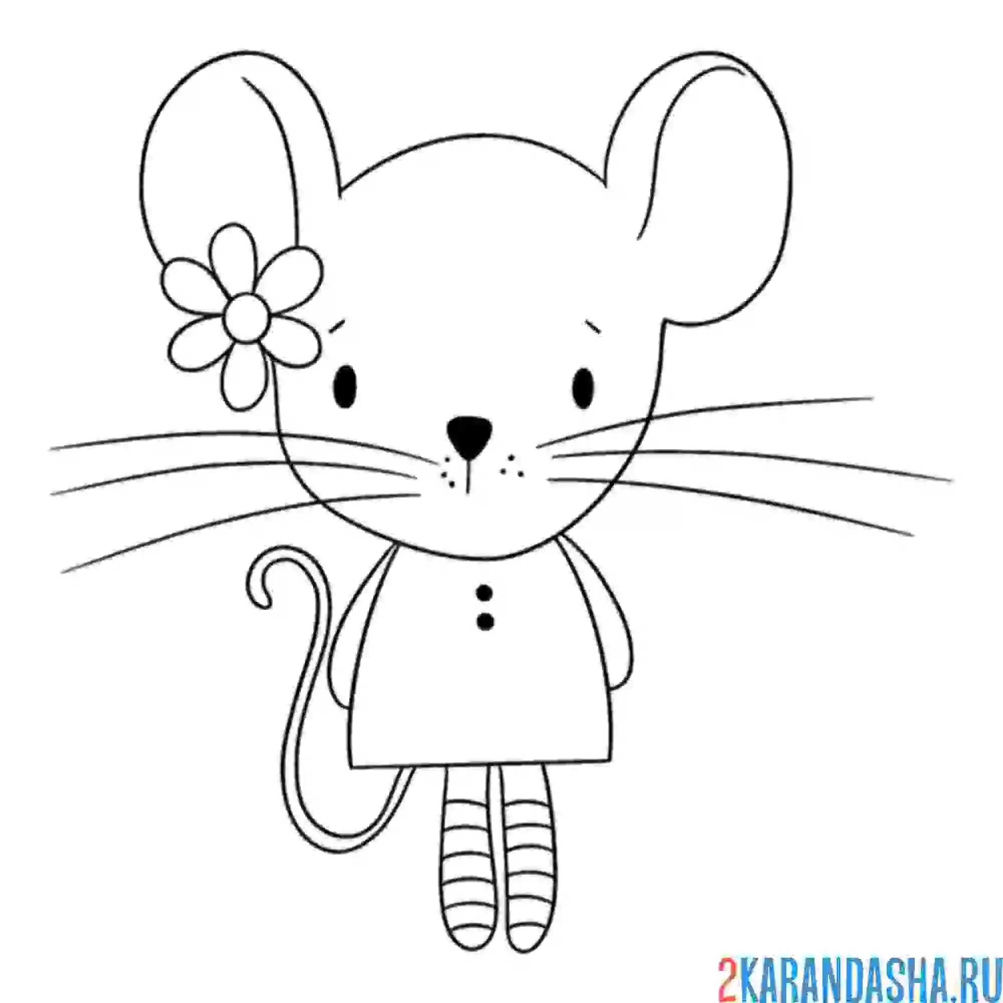 Раскраска мышка в платье
