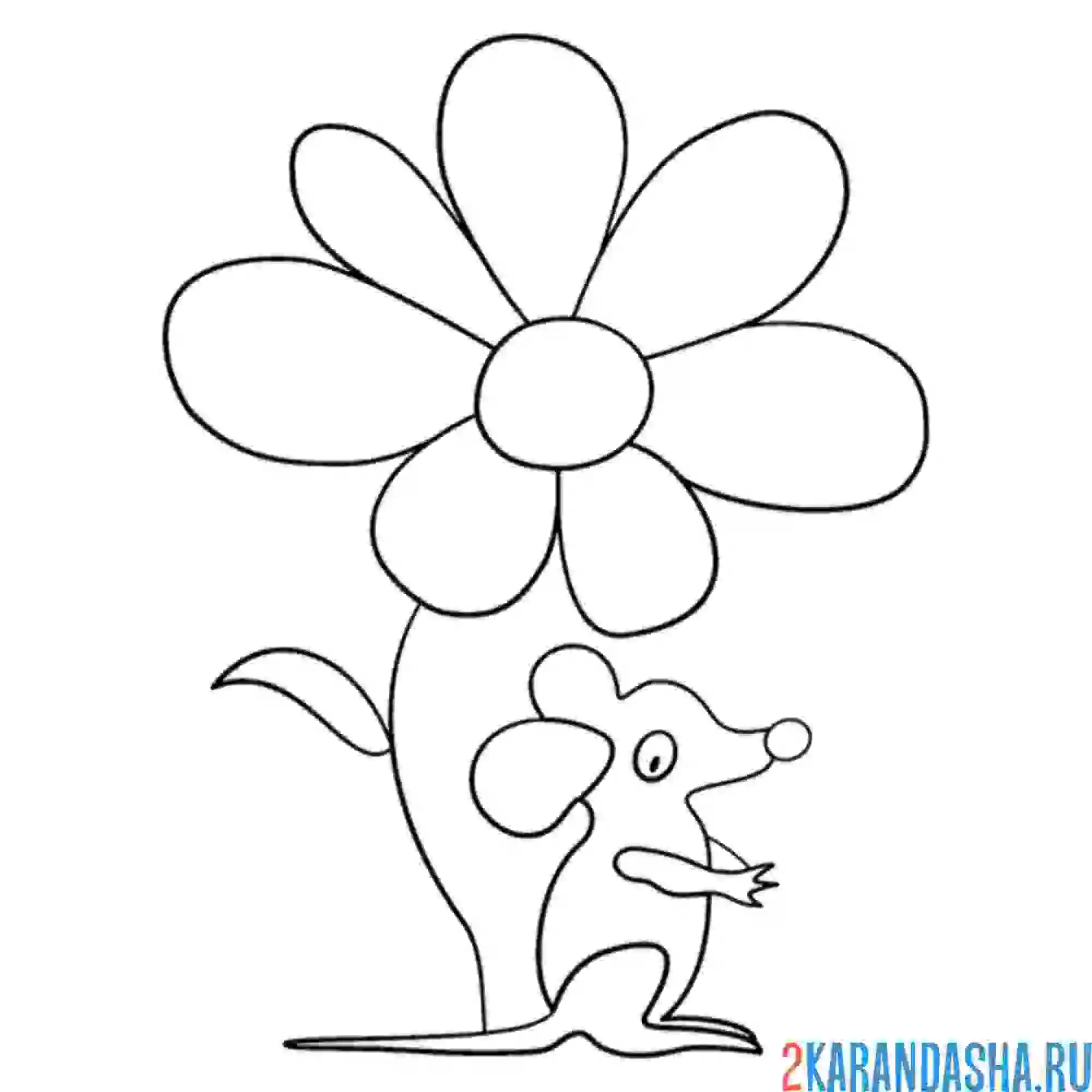 Раскраска мышь под цветком