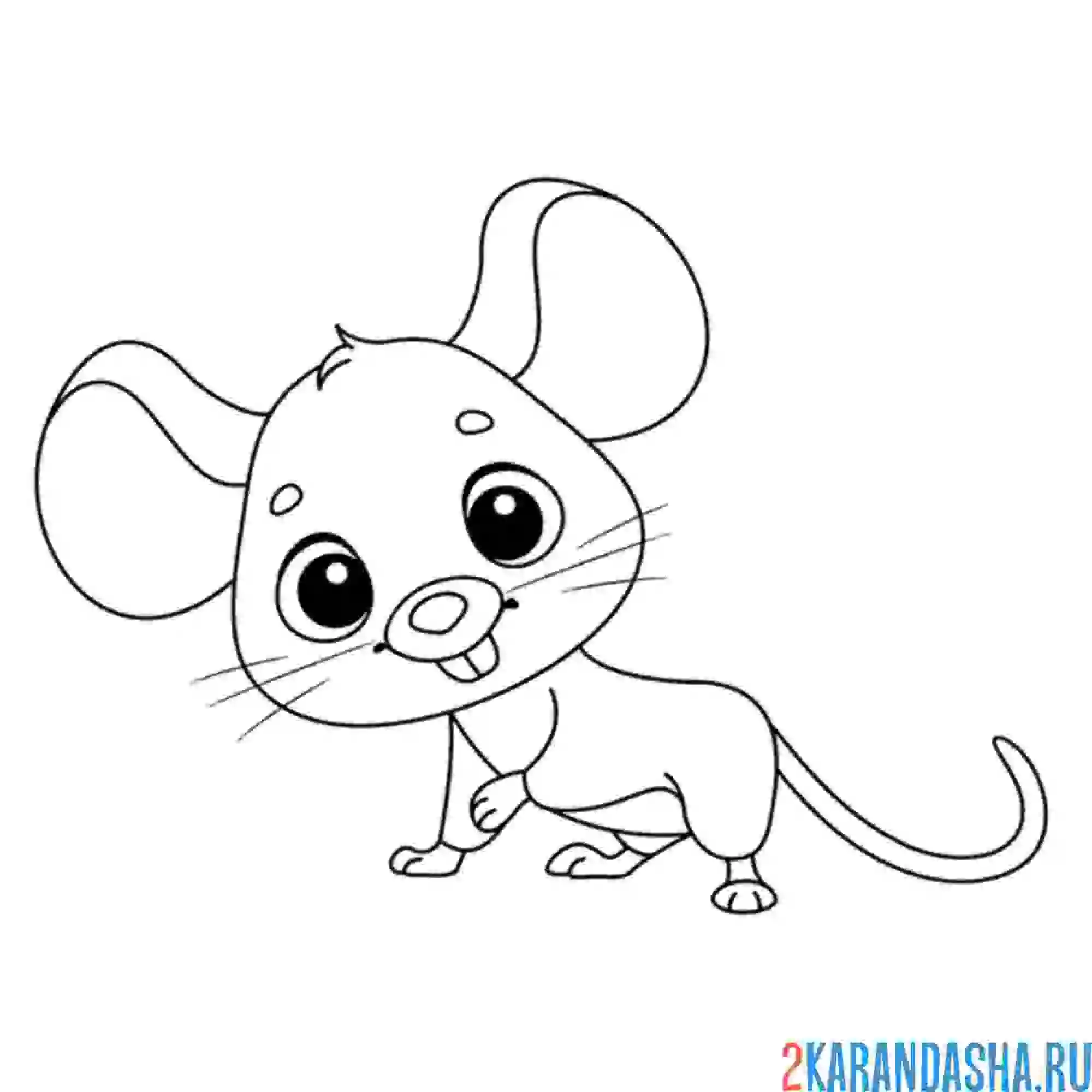 Раскраска мышка