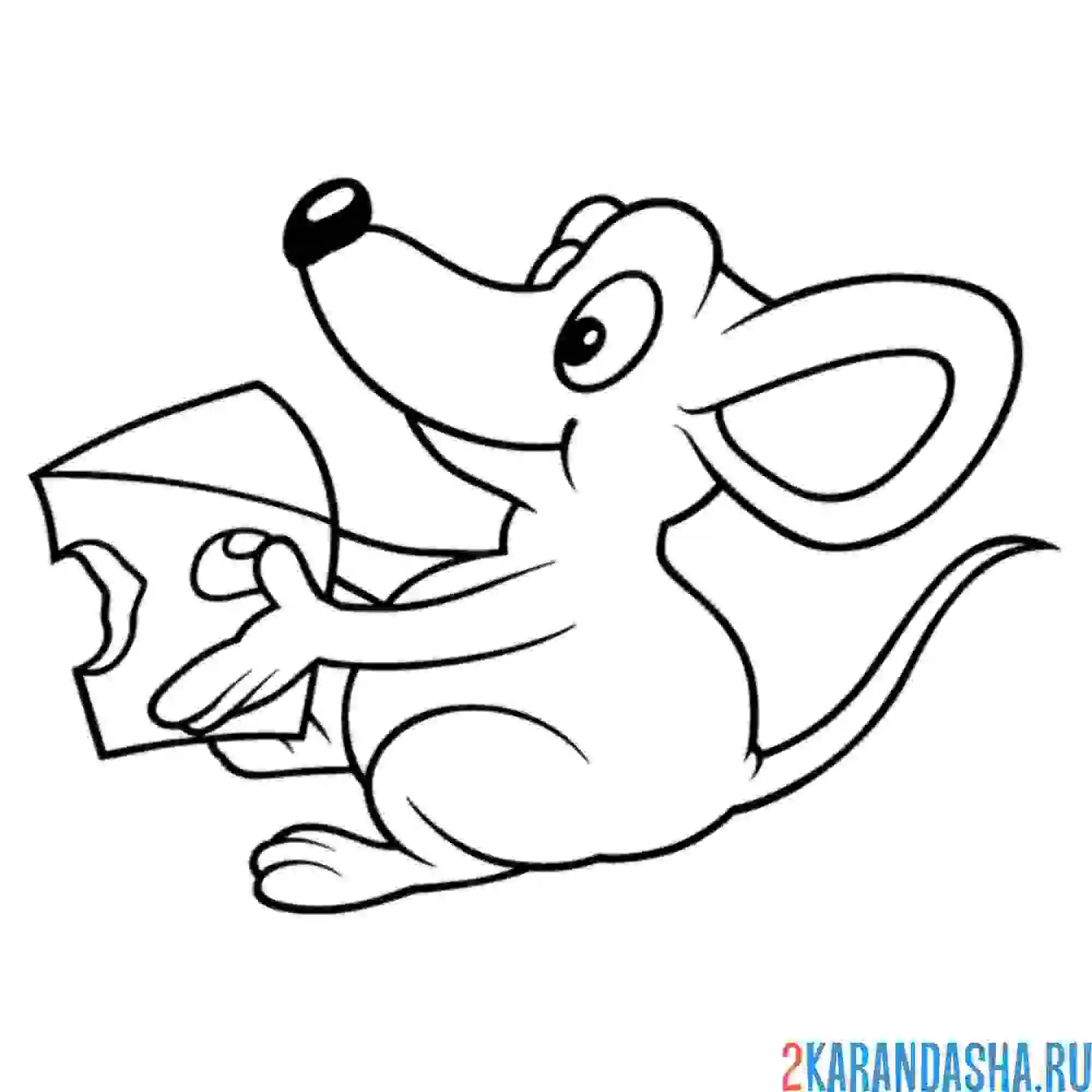 Раскраска мышь нашла сыр