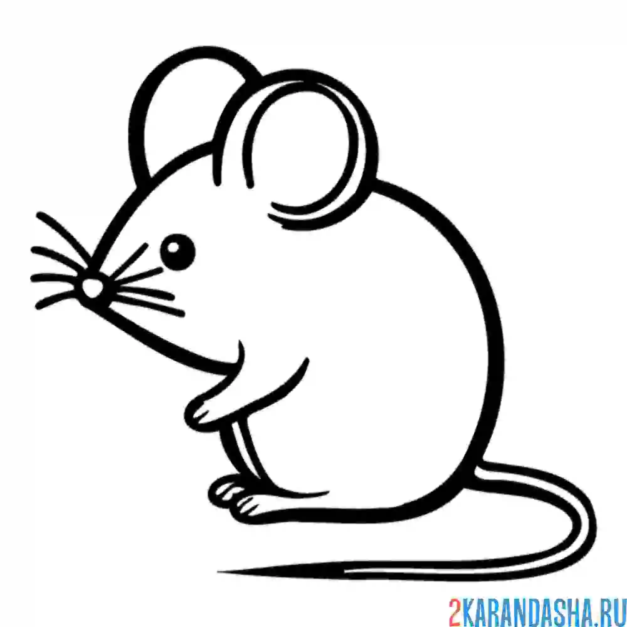 Раскраска мышка сбоку