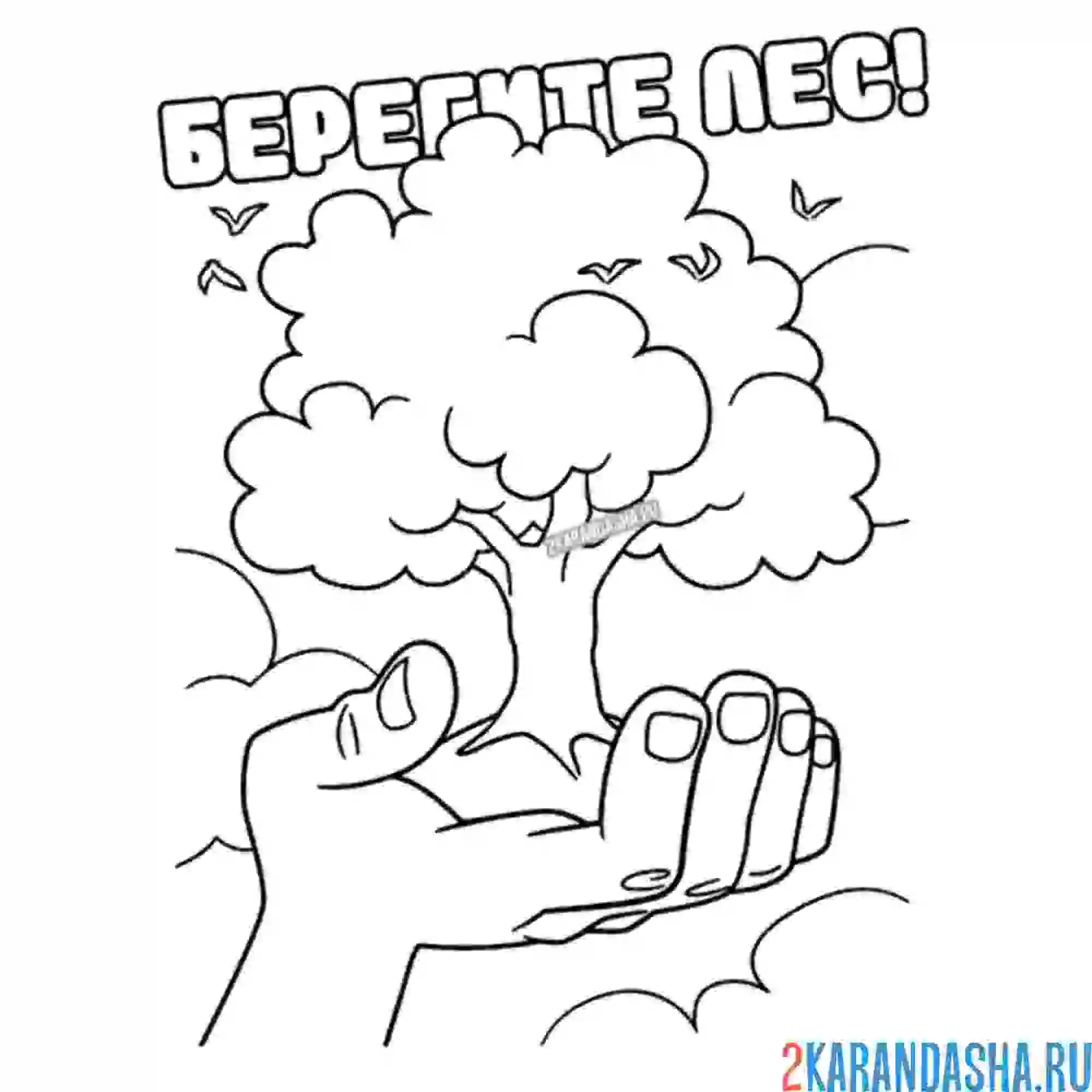 Раскраска берегите лес