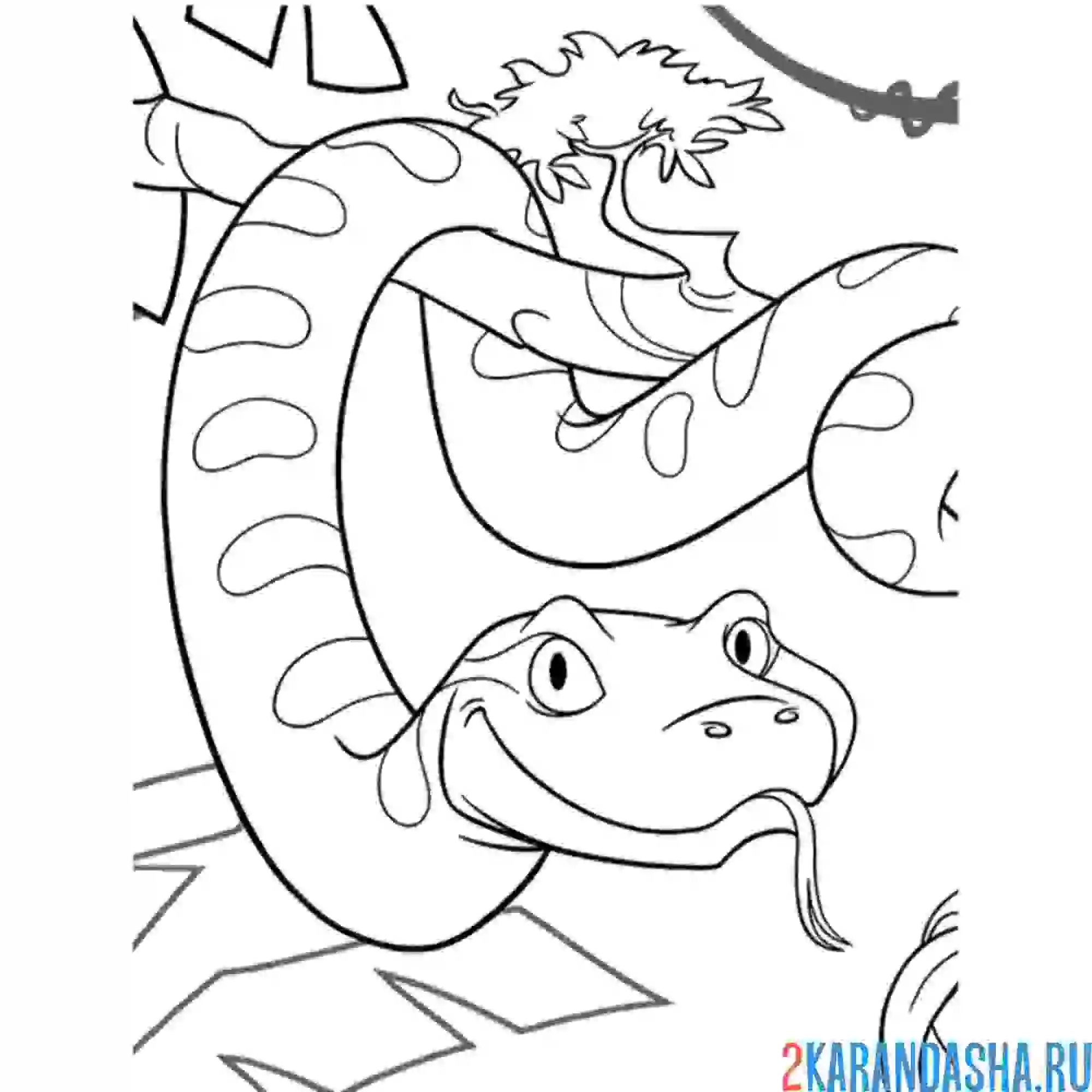 Раскраска большая змея на дереве