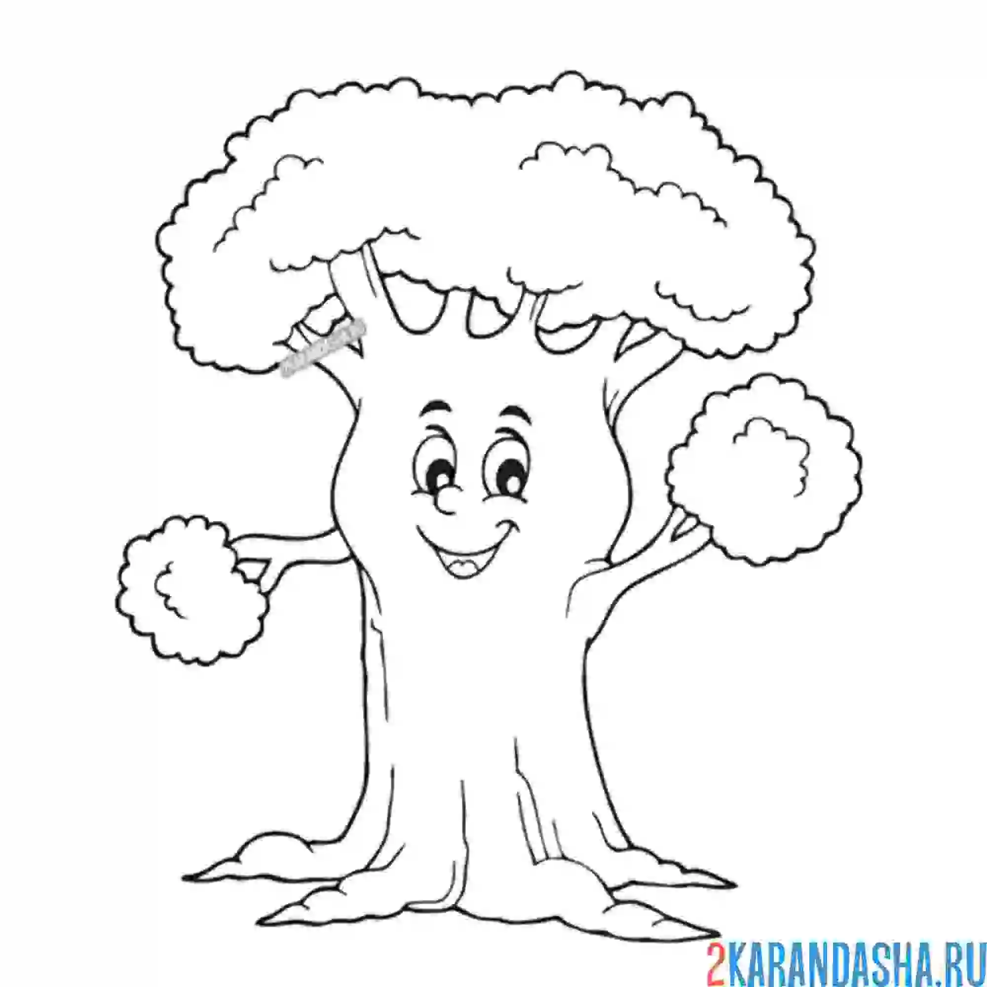 Раскраска большое дерево с листьями