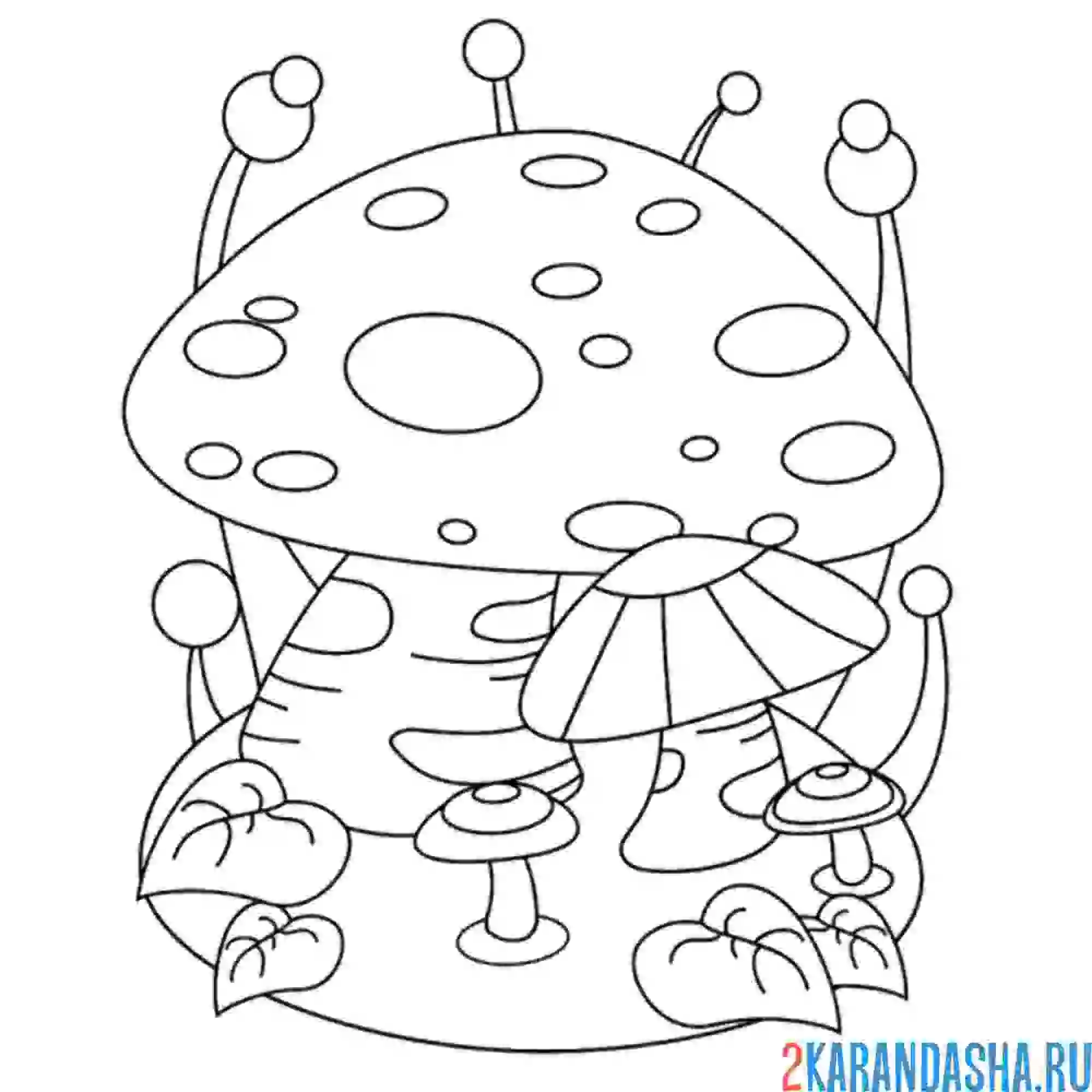 Раскраска большой гриб
