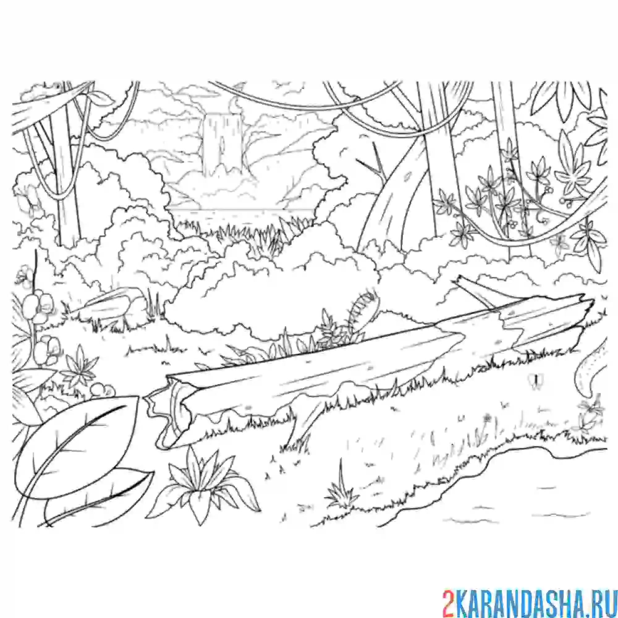 Раскраска большой лес