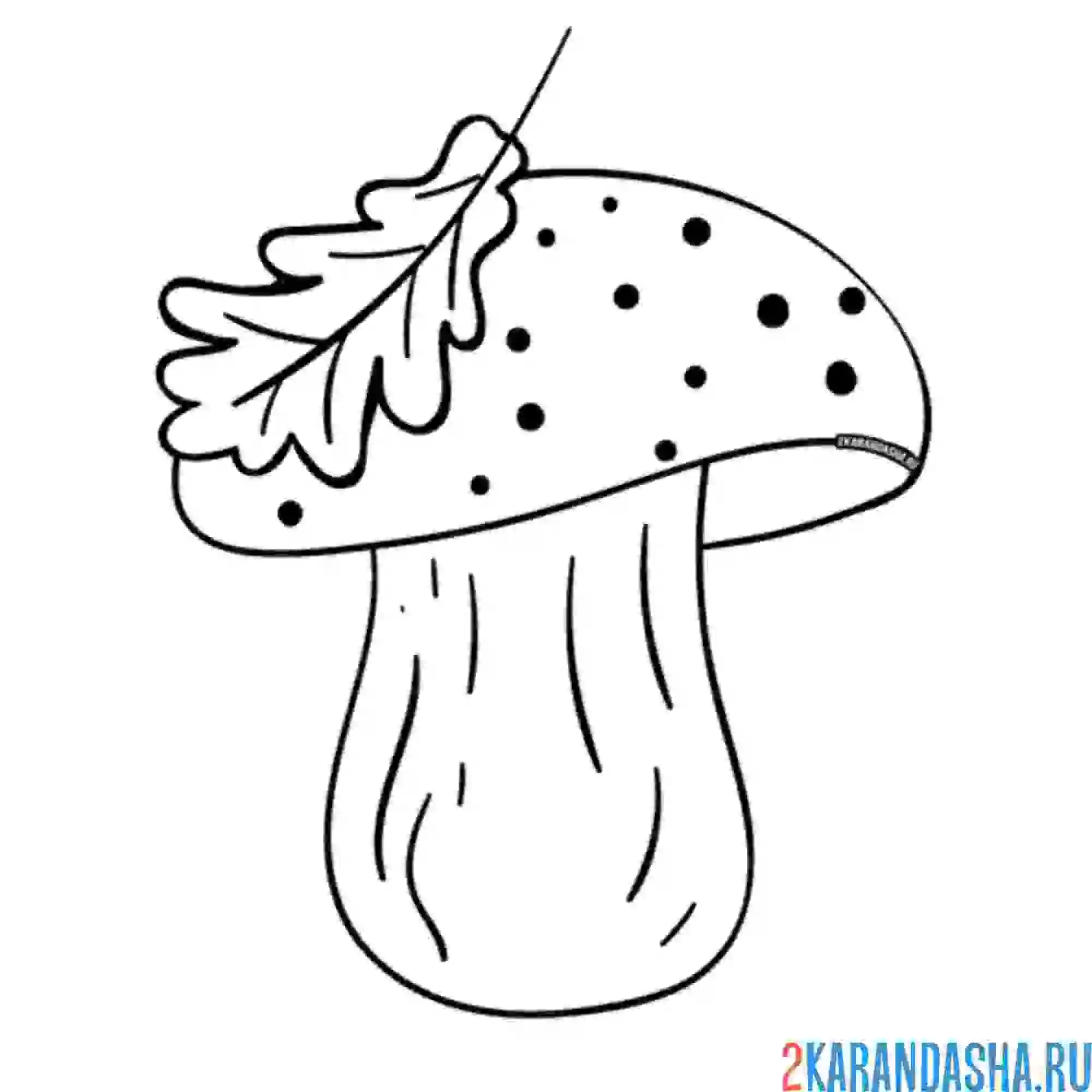 Раскраска боровик гриб