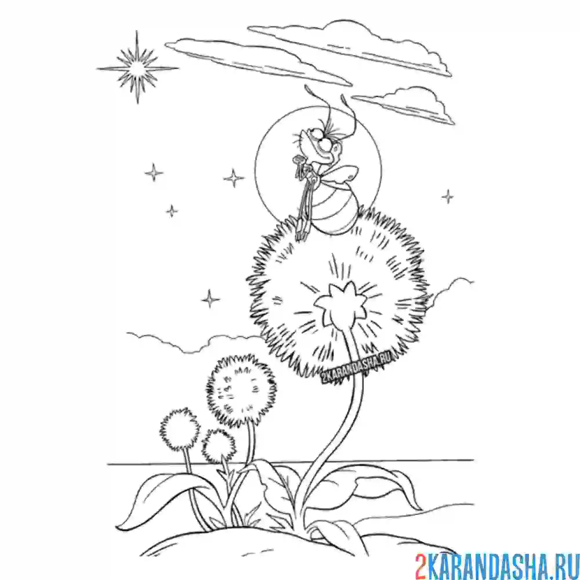 Раскраска букашка на одуванчике