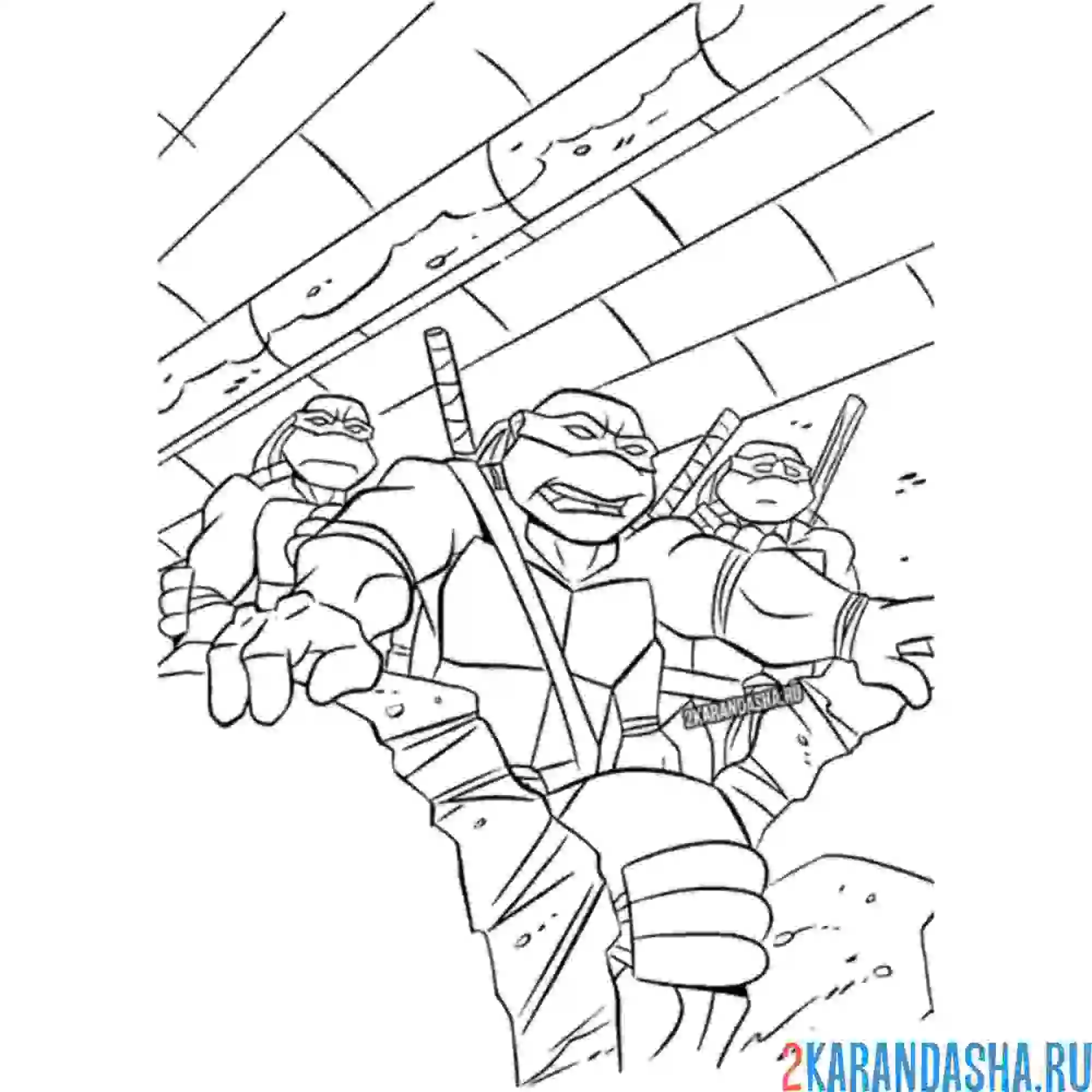 Раскраска черепашка-ниндзя в борьбе