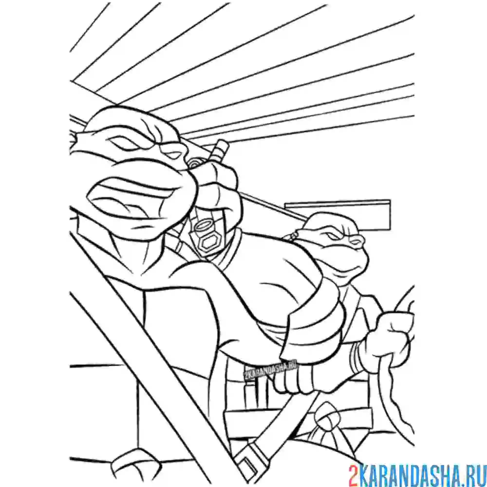 Раскраска черепашка-ниндзя в машине