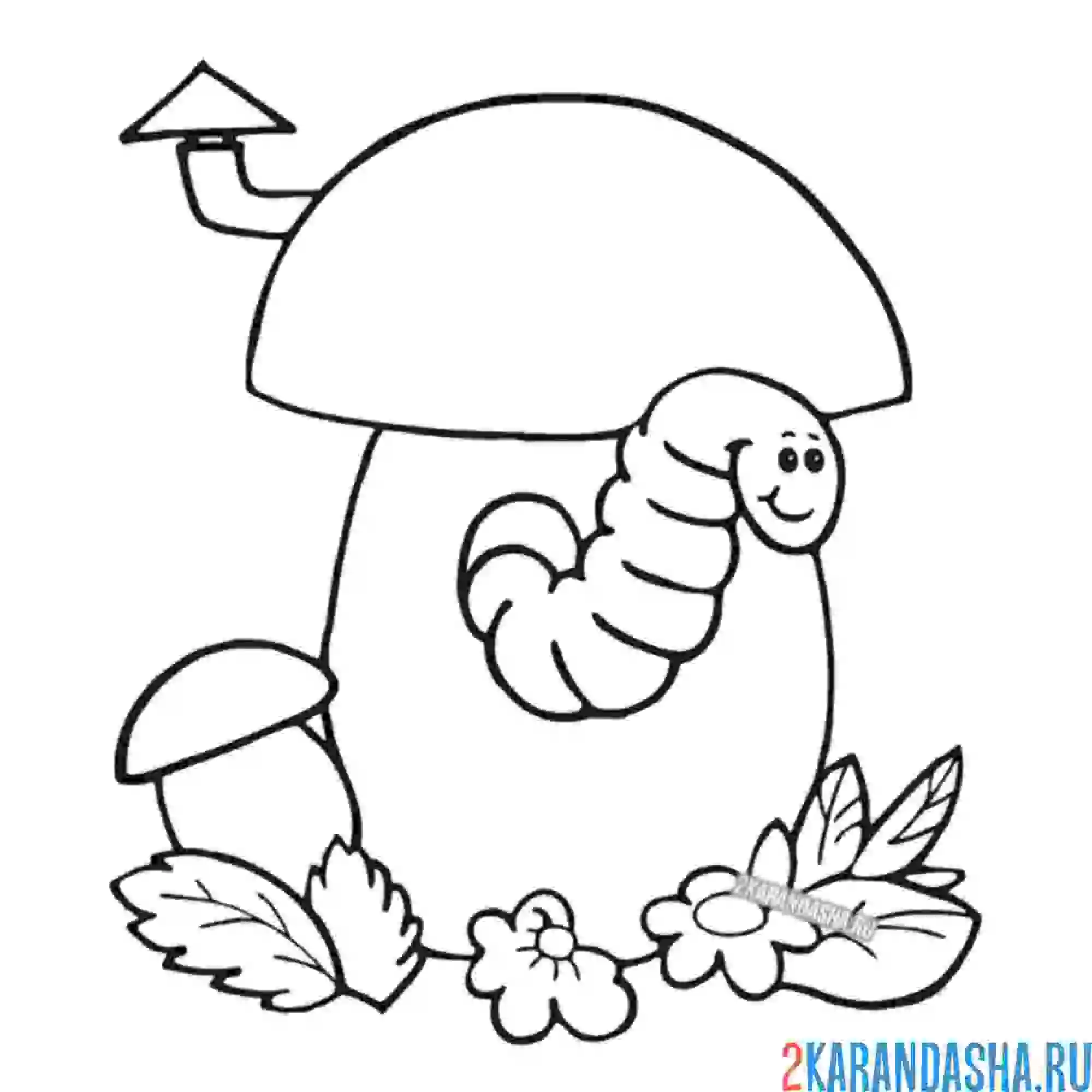 Раскраска гусеница живет в грибе