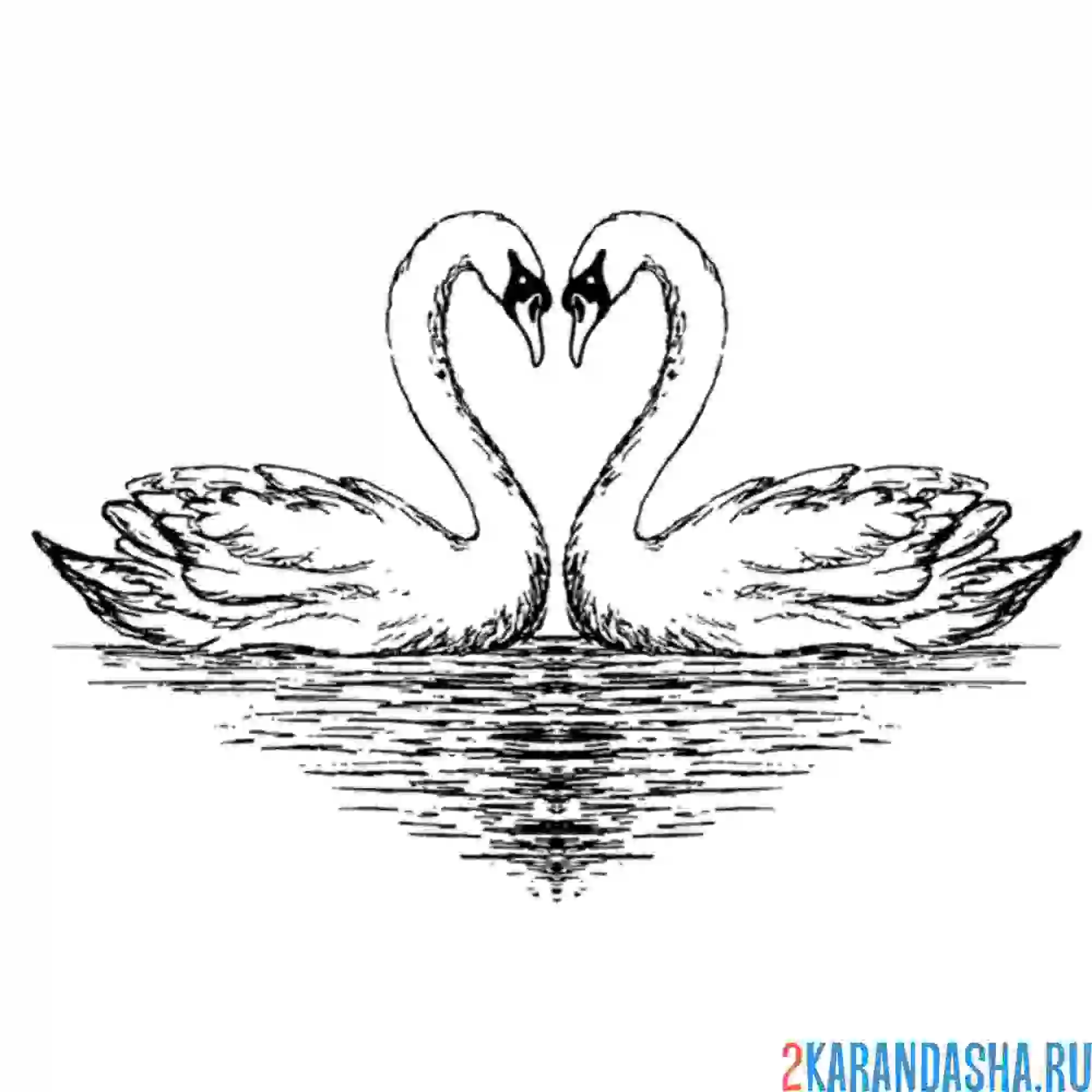 Раскраска два лебедя любовь