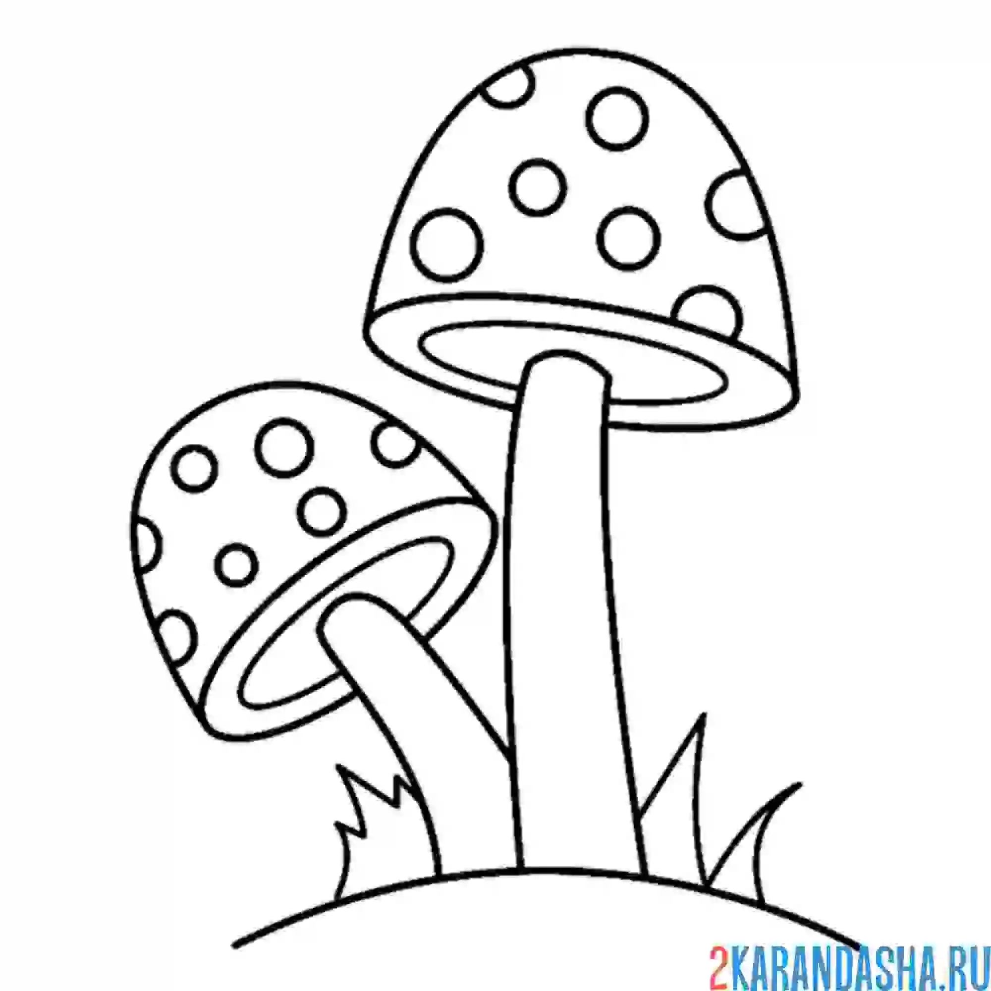Раскраска два мухомора