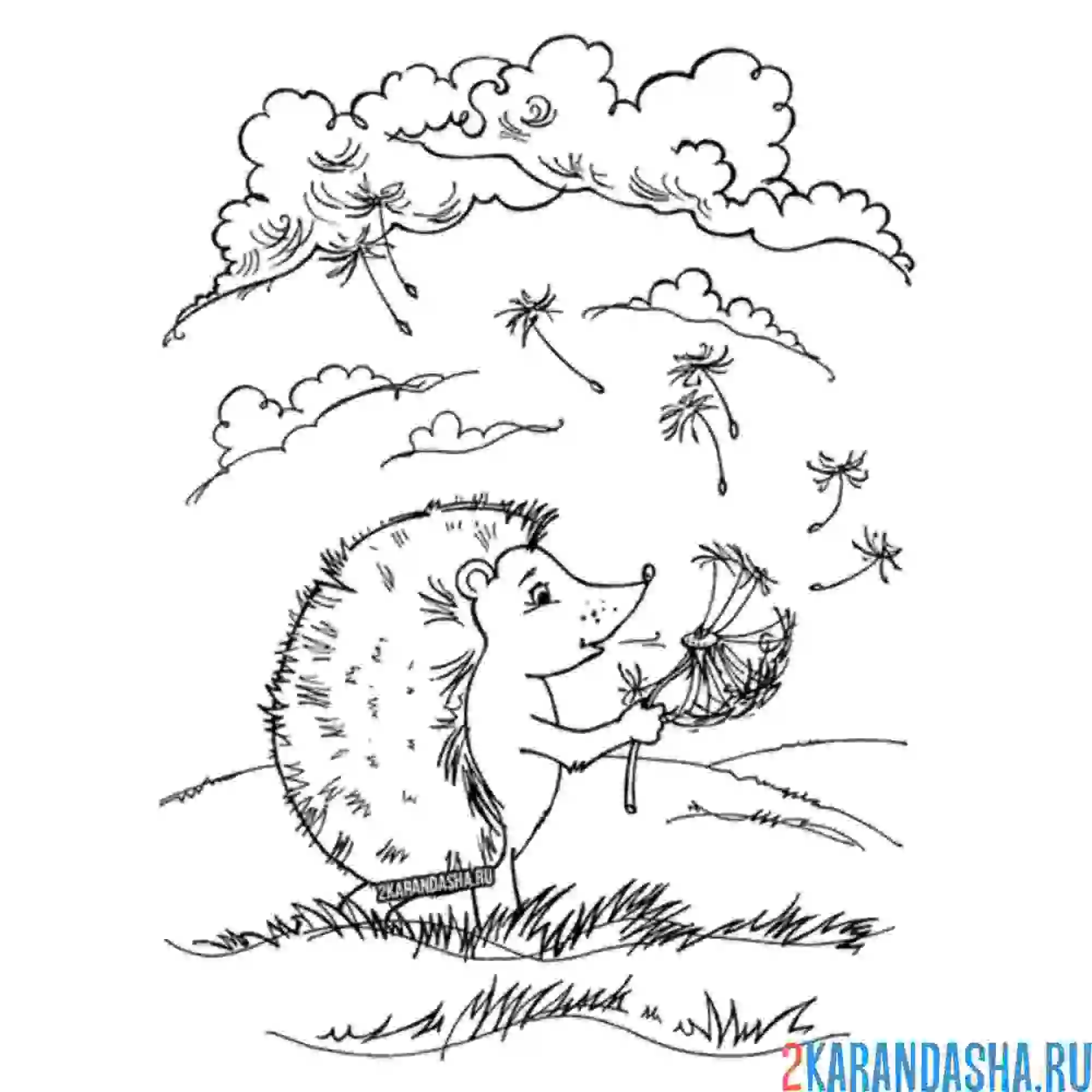 Раскраска ежик дует на одуванчик