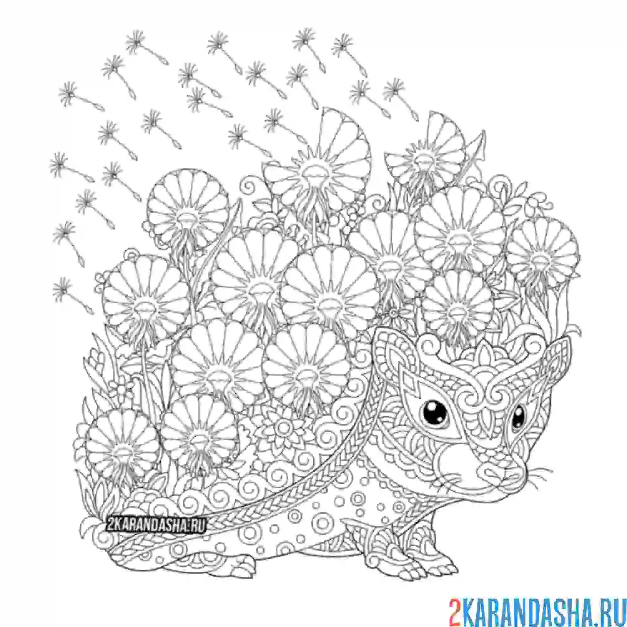 Раскраска ежик с одуванчиками