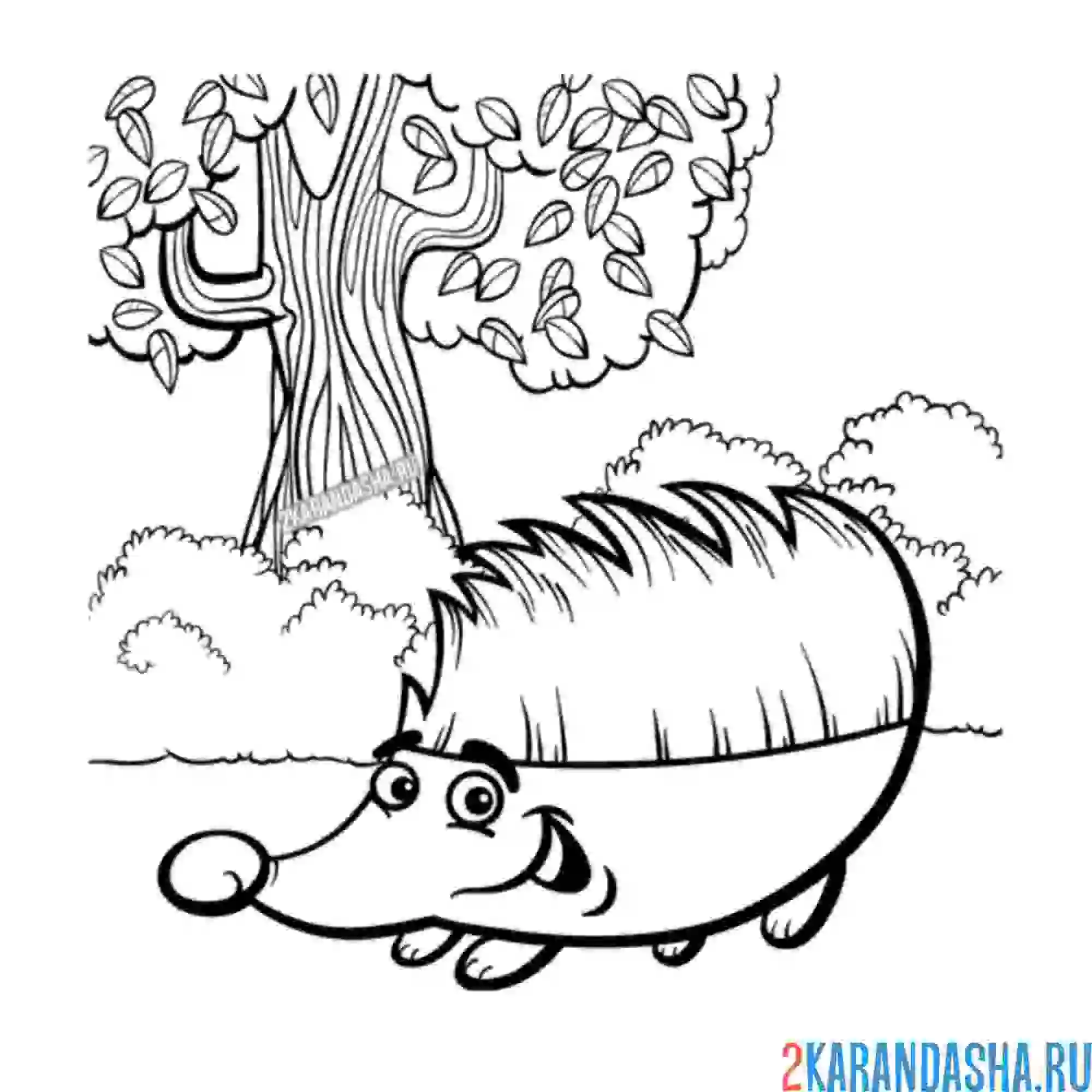 Раскраска ежик в лесу
