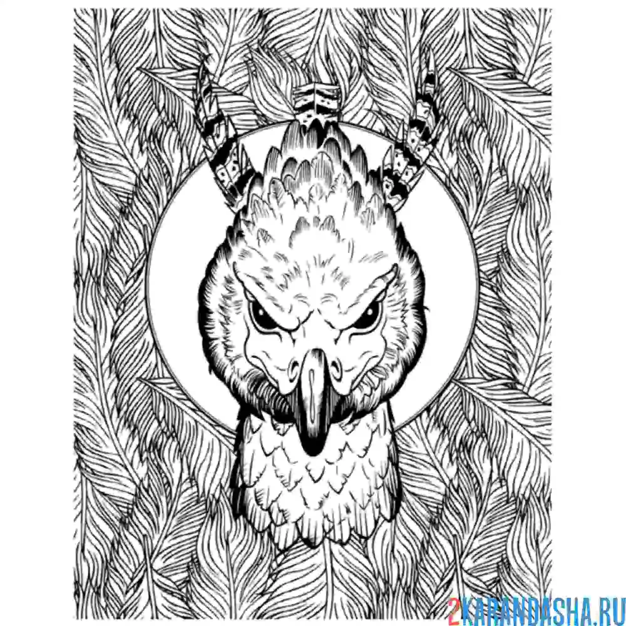 Раскраска фоукс феникс