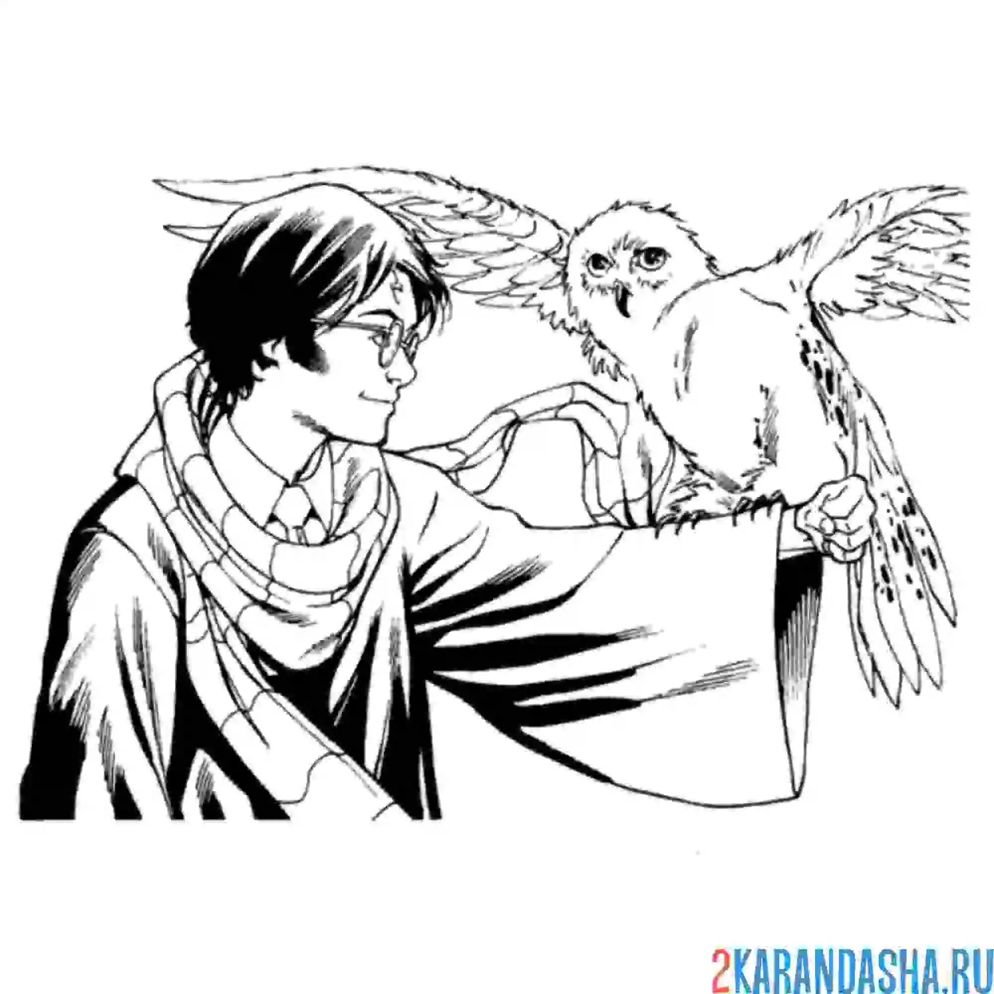 Раскраска гарри поттер держит сову