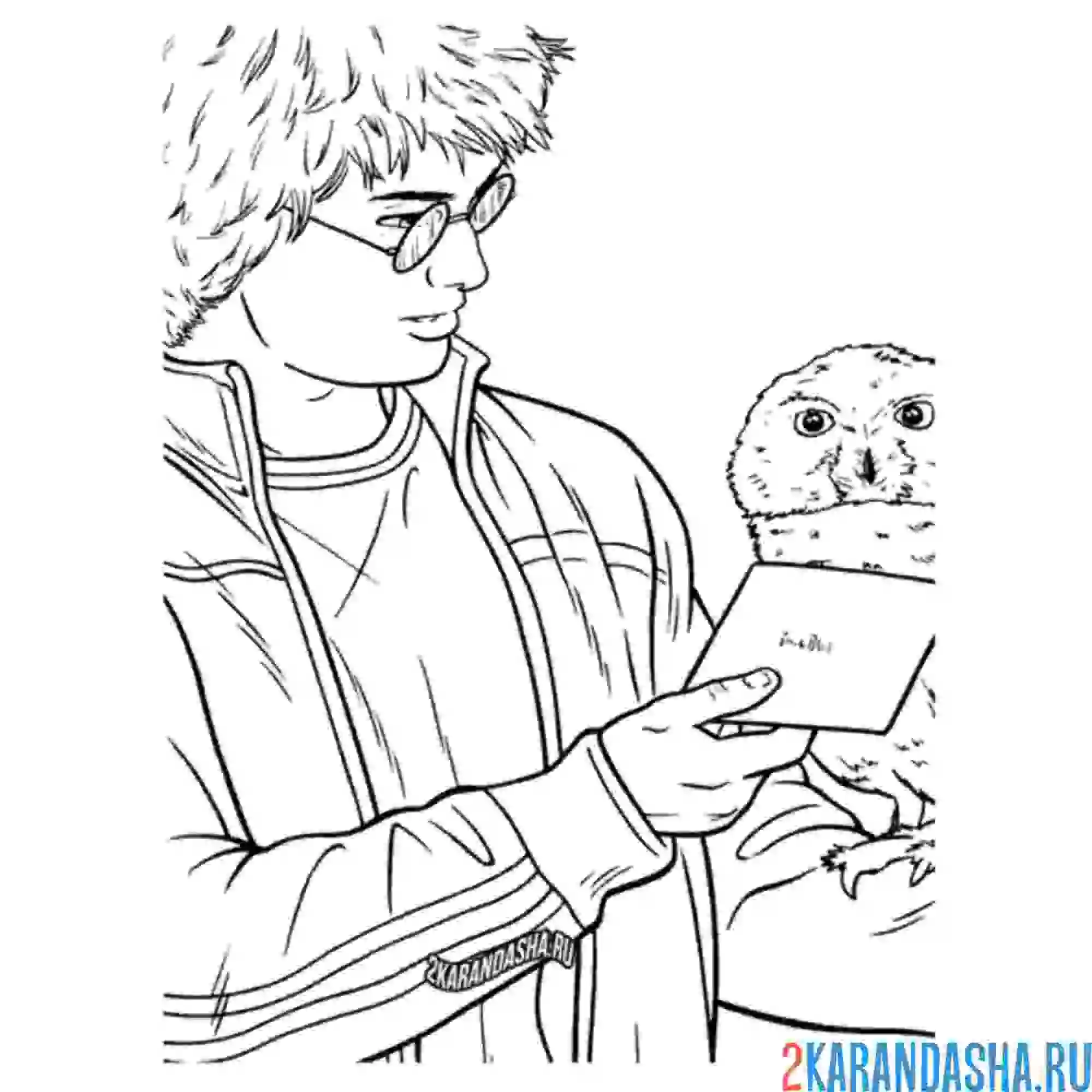 Раскраска гарри поттер и письмо от совы