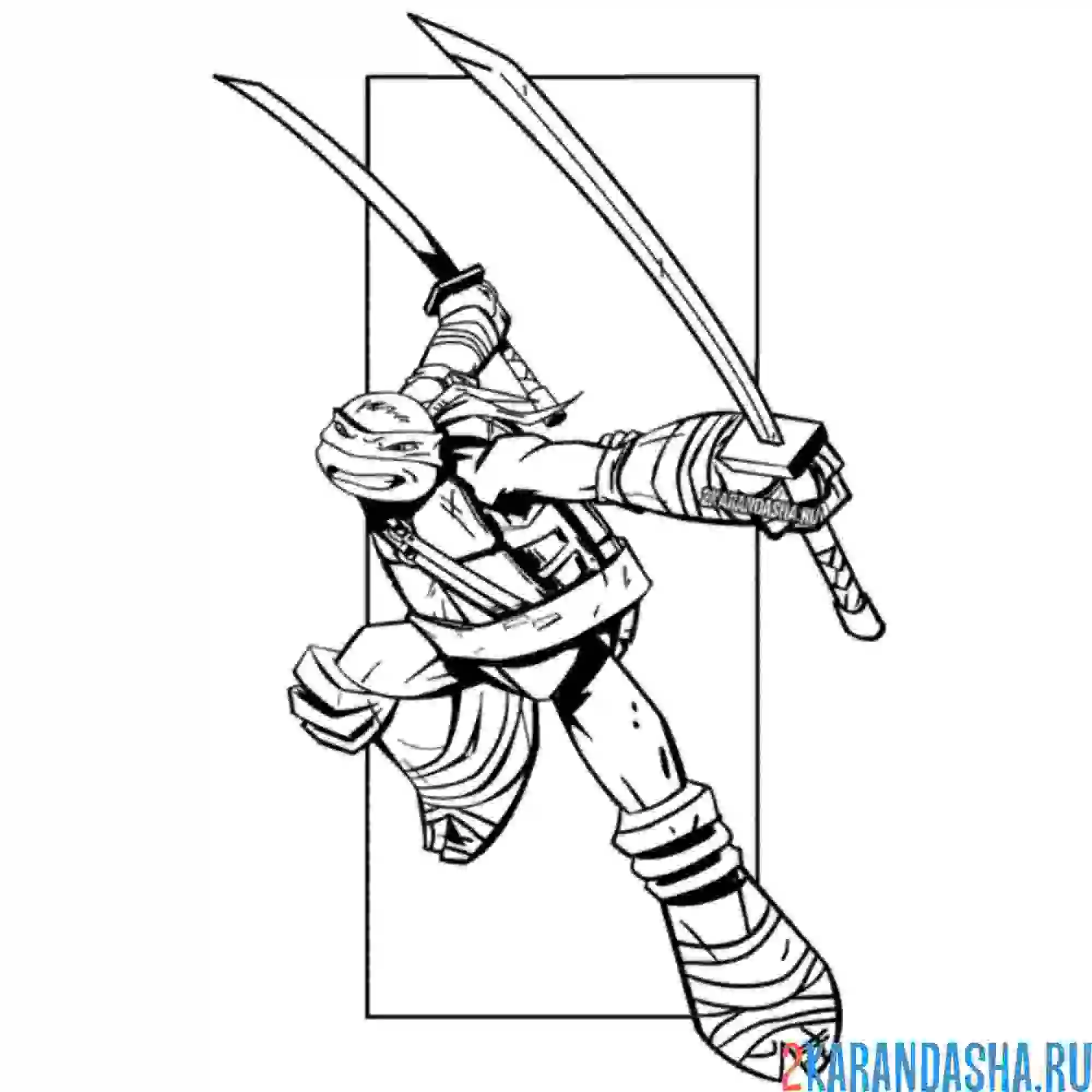 Раскраска герой леонардо черепашки-ниндзя