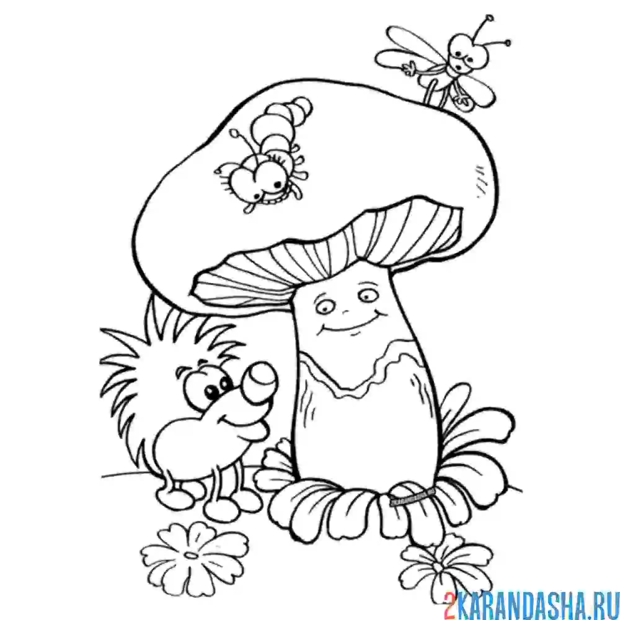 Раскраска гриб и ёжик