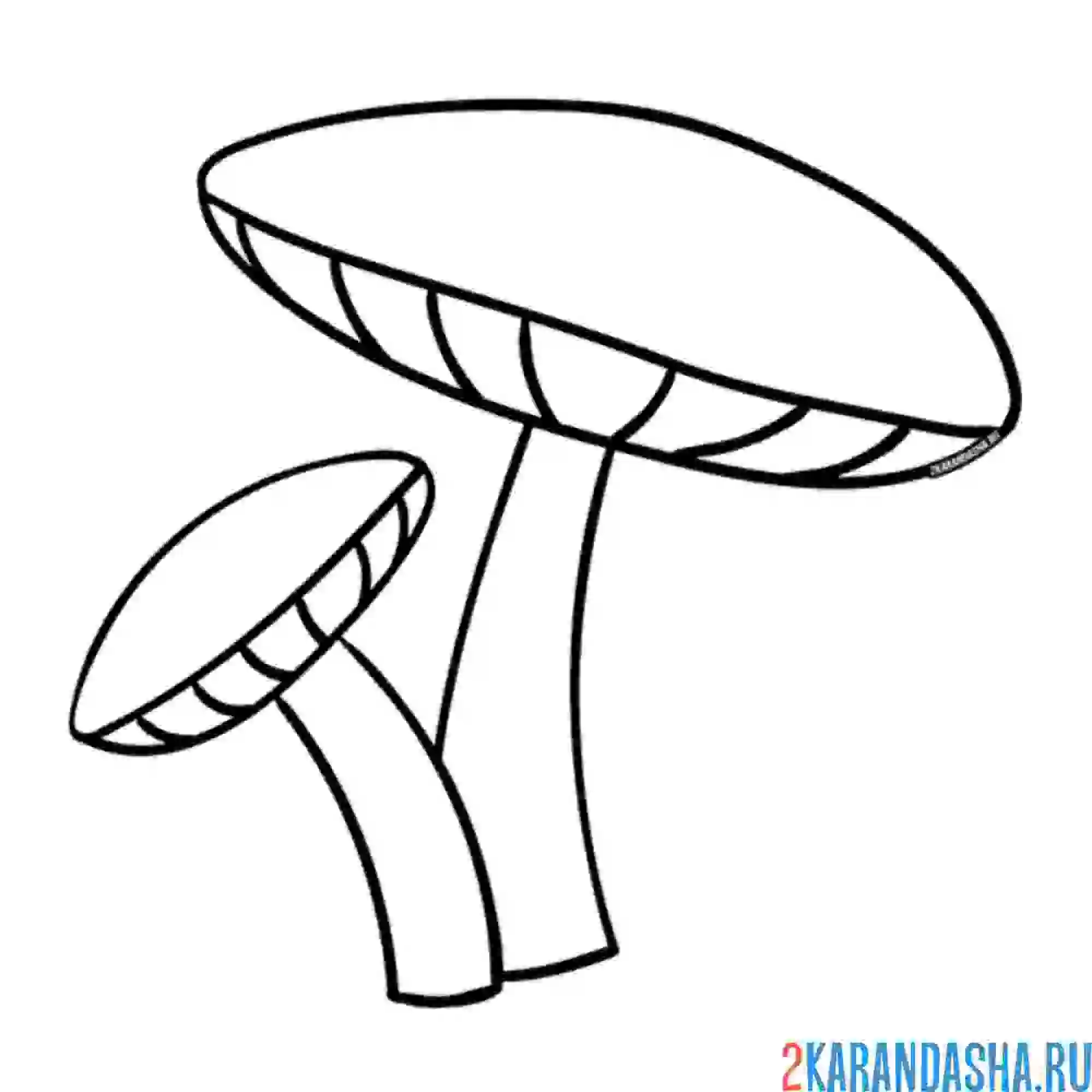 Раскраска гриб лесной