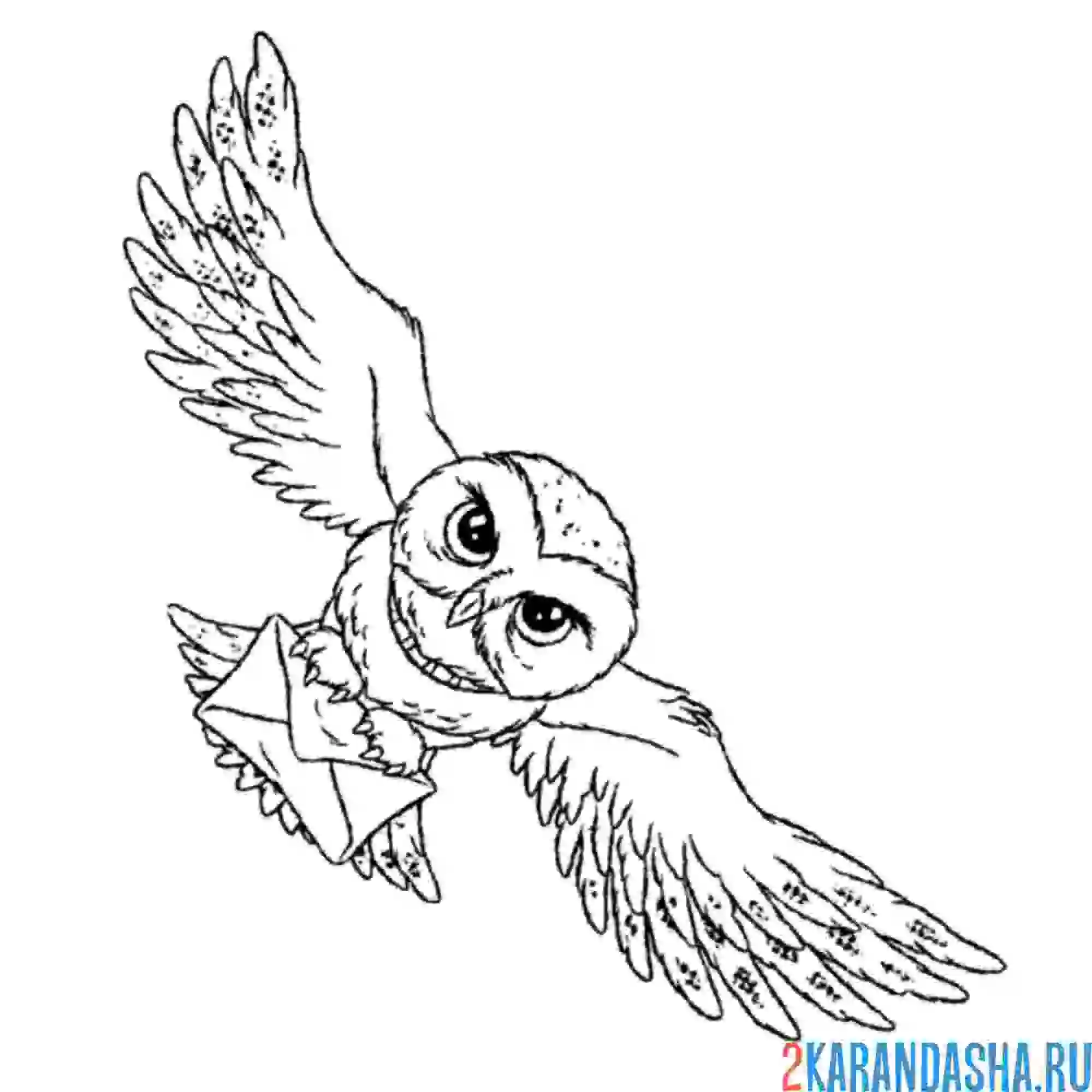 Раскраска хедвиг с письмом