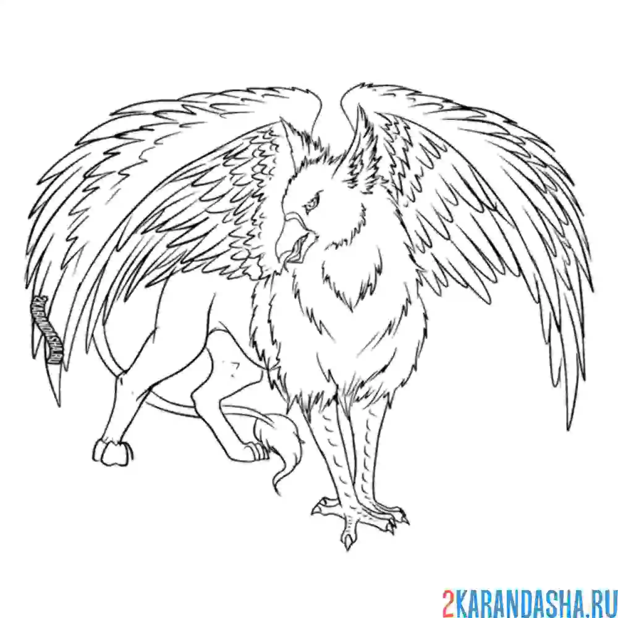 Раскраска клювокрыл гарри поттер