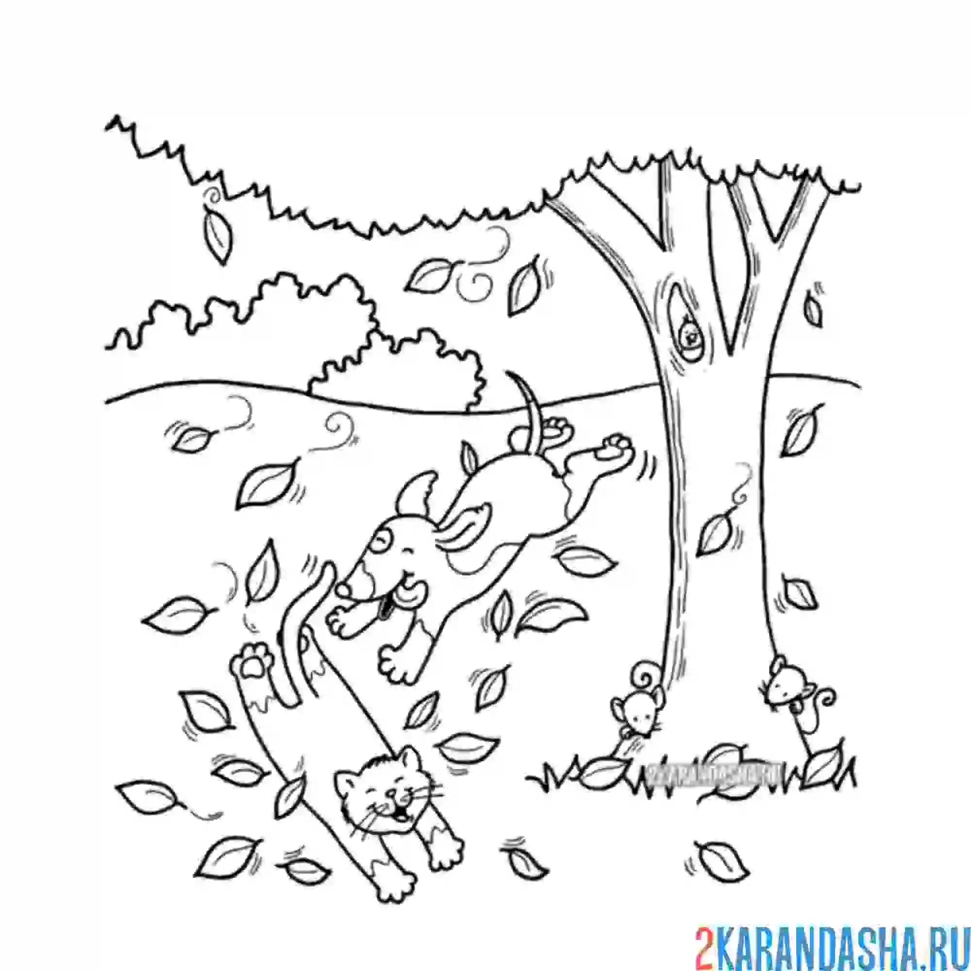 Раскраска кот и собака резвятся в осеннем лесу