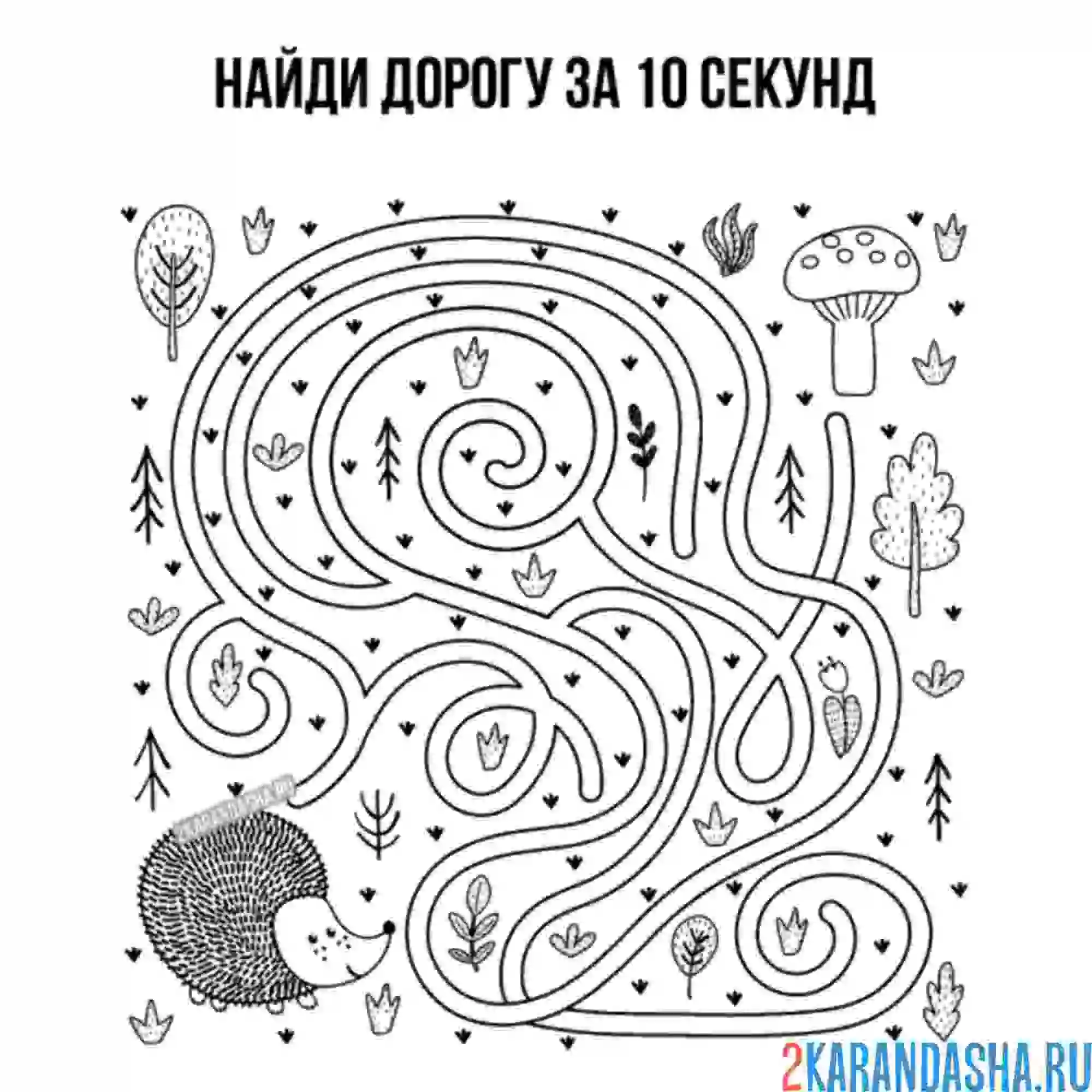 Раскраска лабиринт ежик ищет гриб