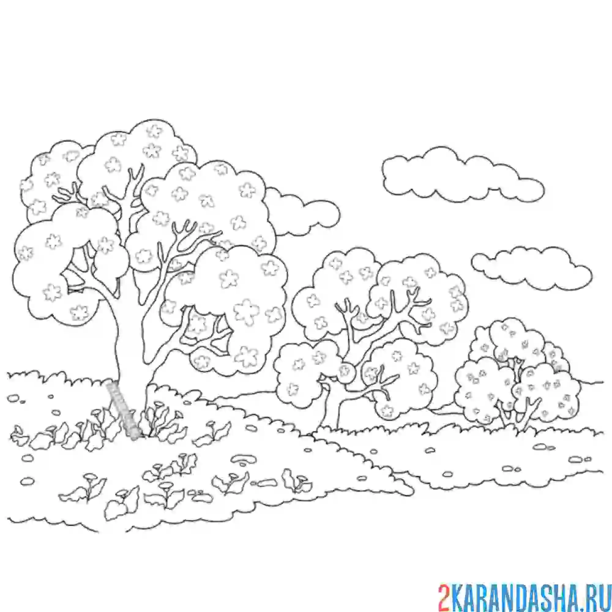 Раскраска лес летом