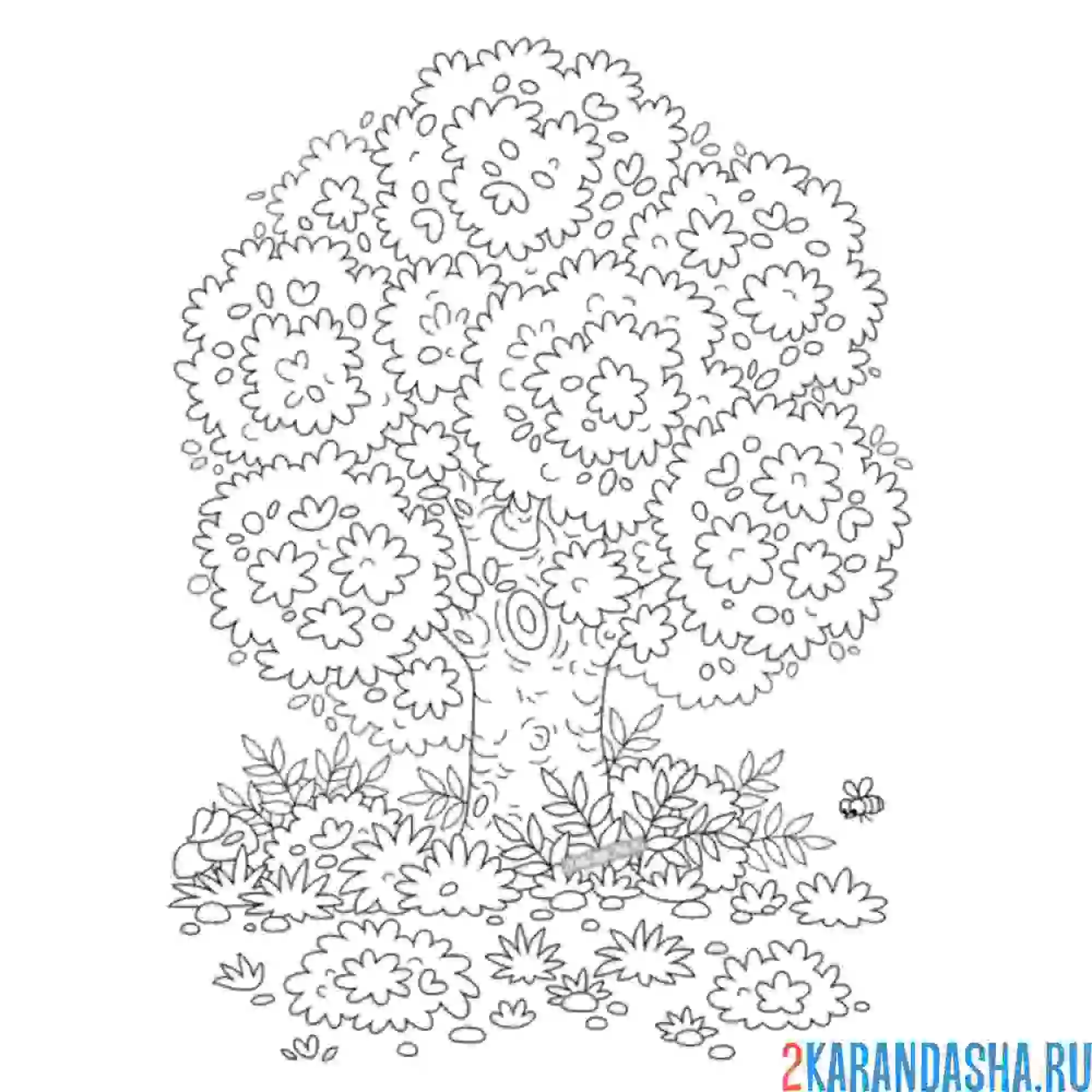 Раскраска летнее дерево в листве